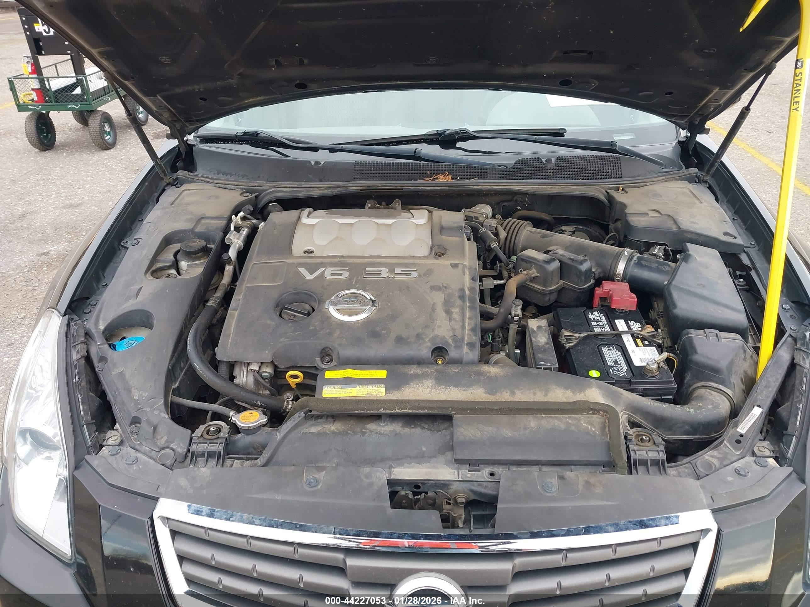 NISSAN MAXIMA image 10