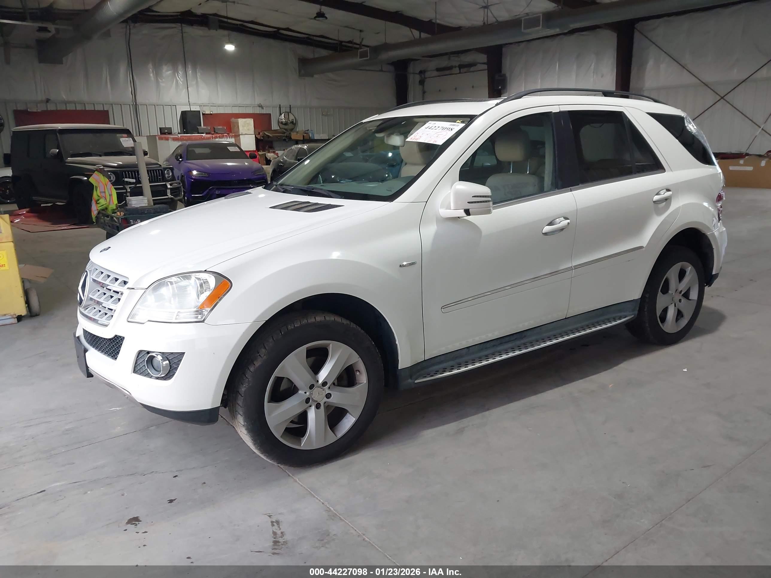 MERCEDES-BENZ ML image 2