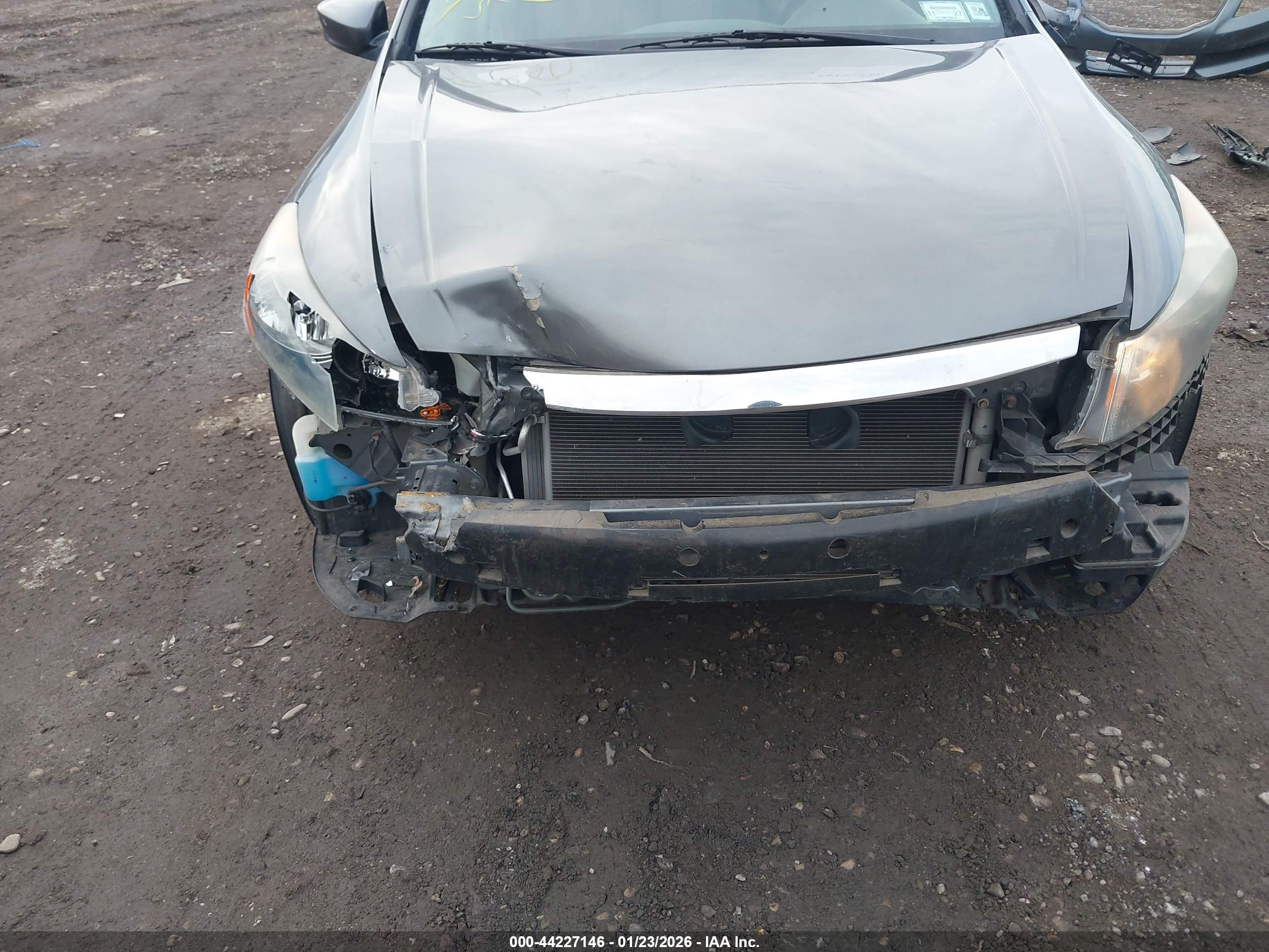 HONDA ACCORD image 6