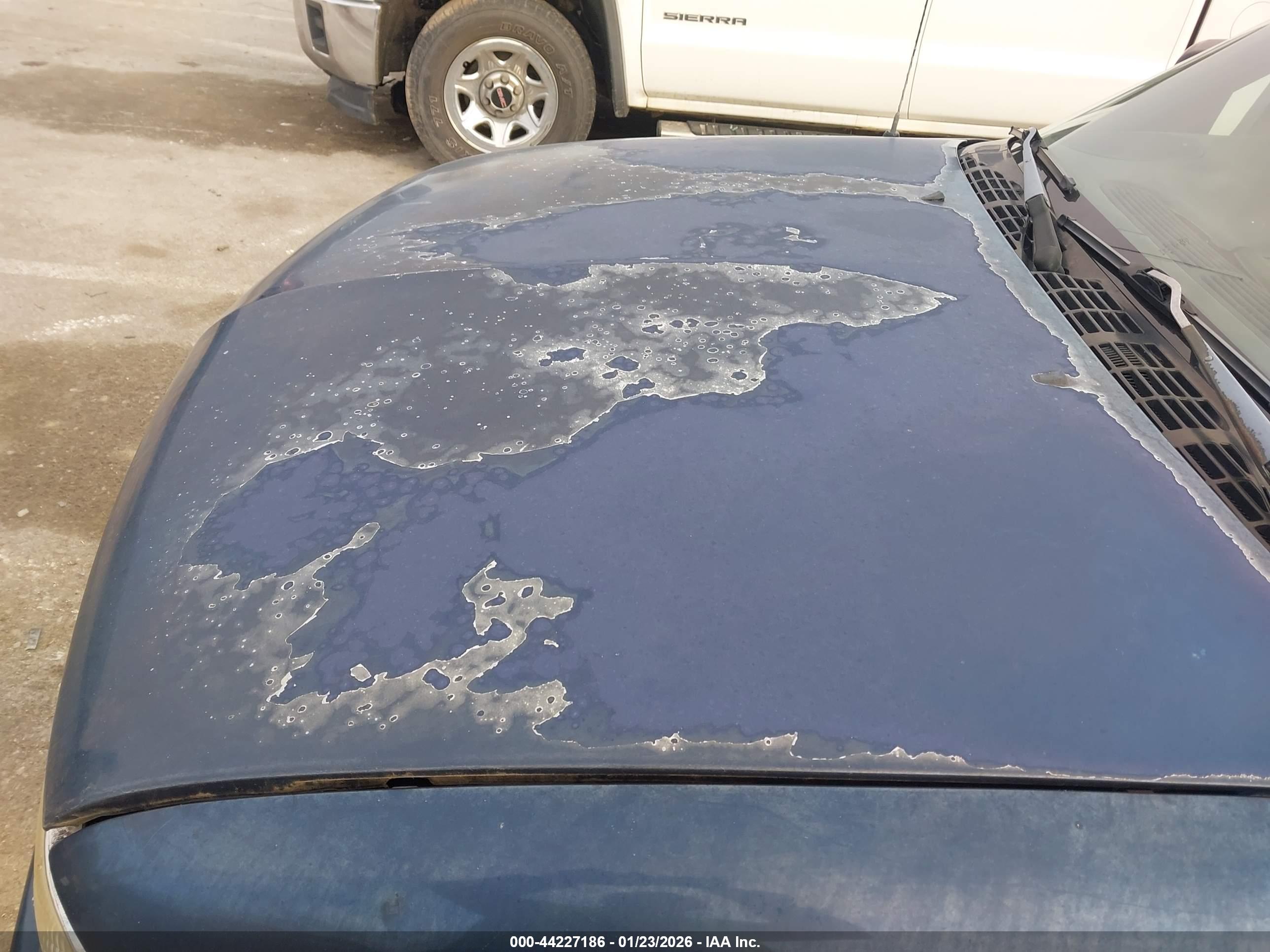 CHEVROLET S-10 image 6
