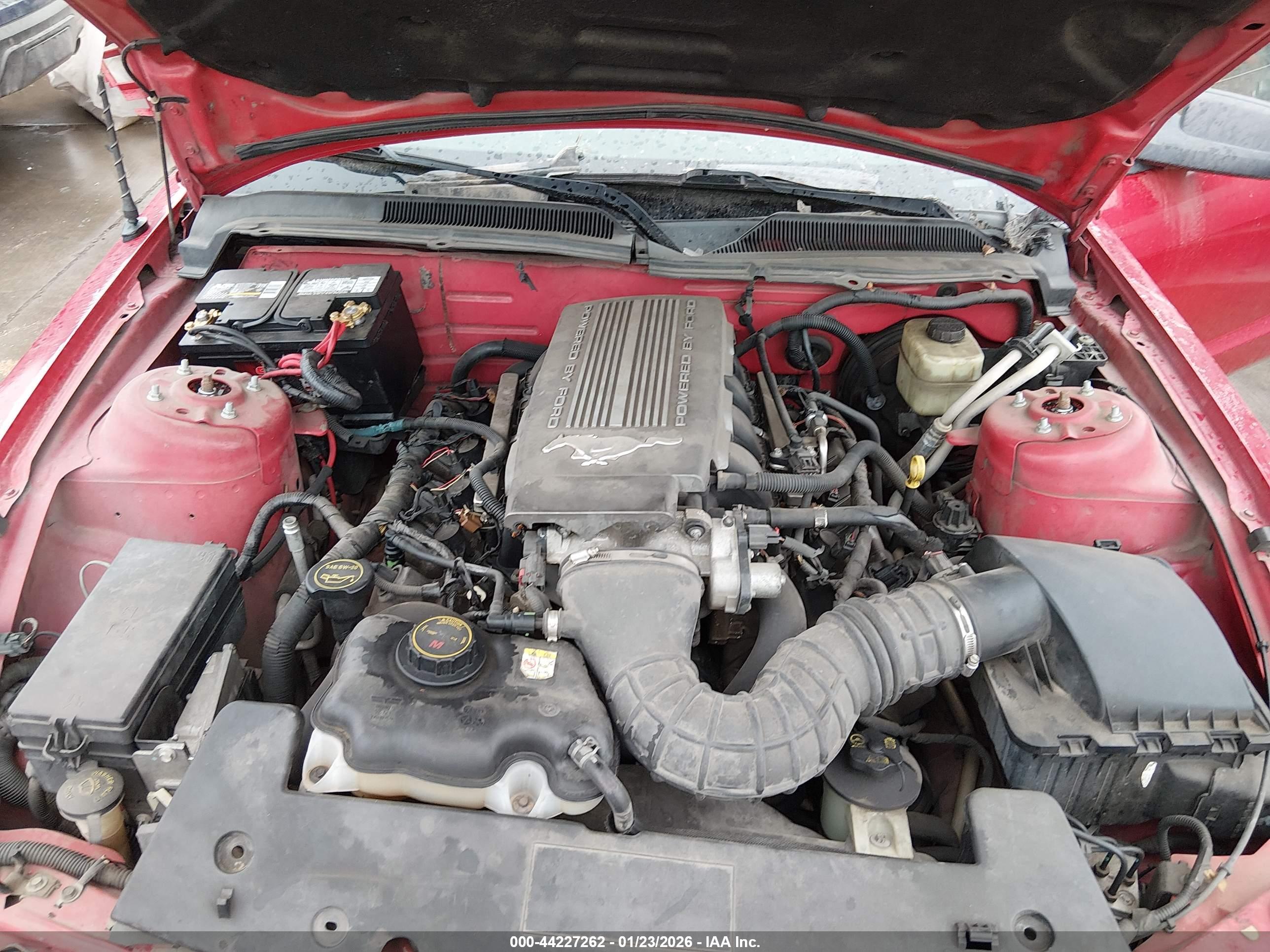 FORD MUSTANG image 10