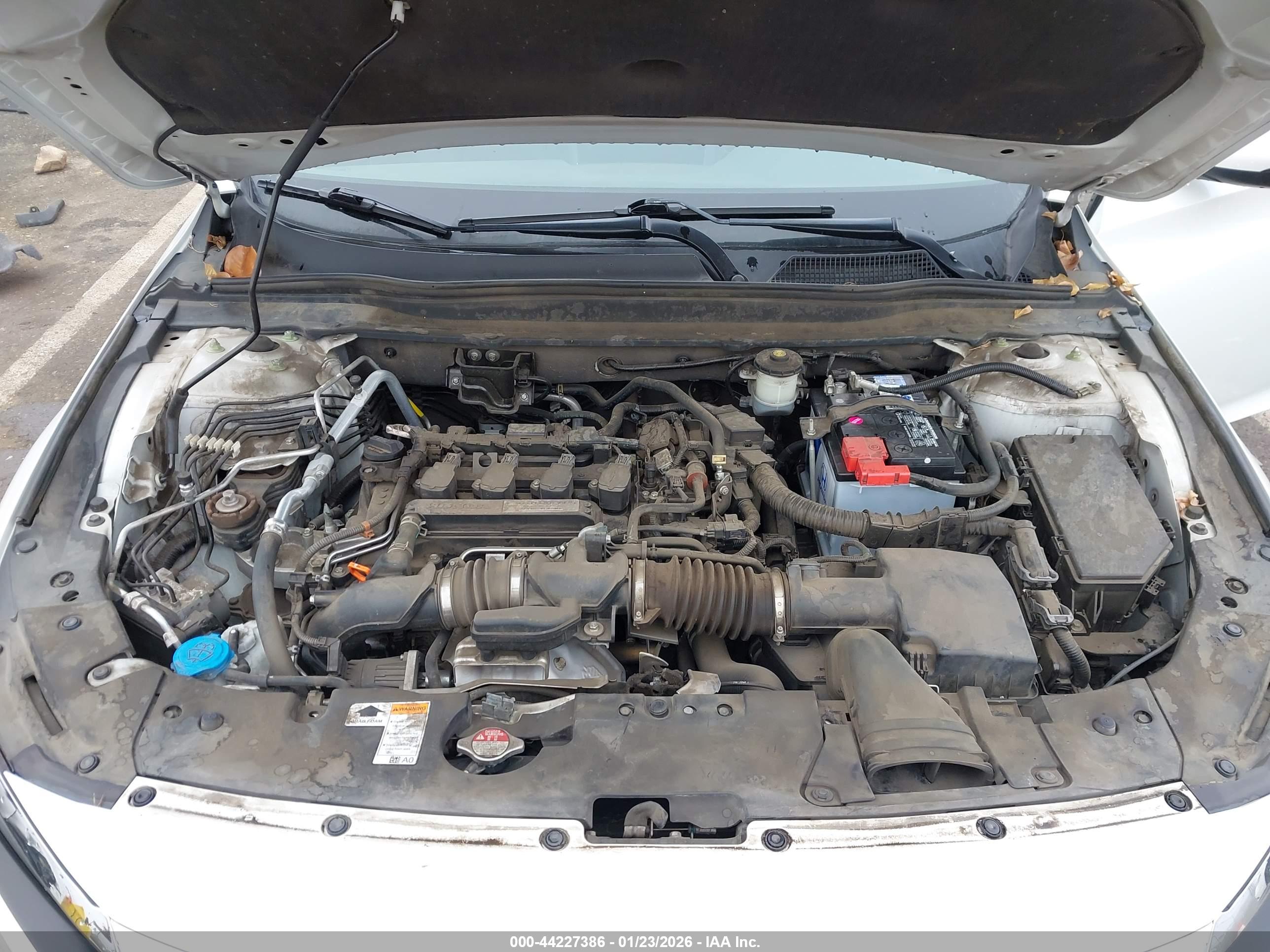 HONDA ACCORD image 10