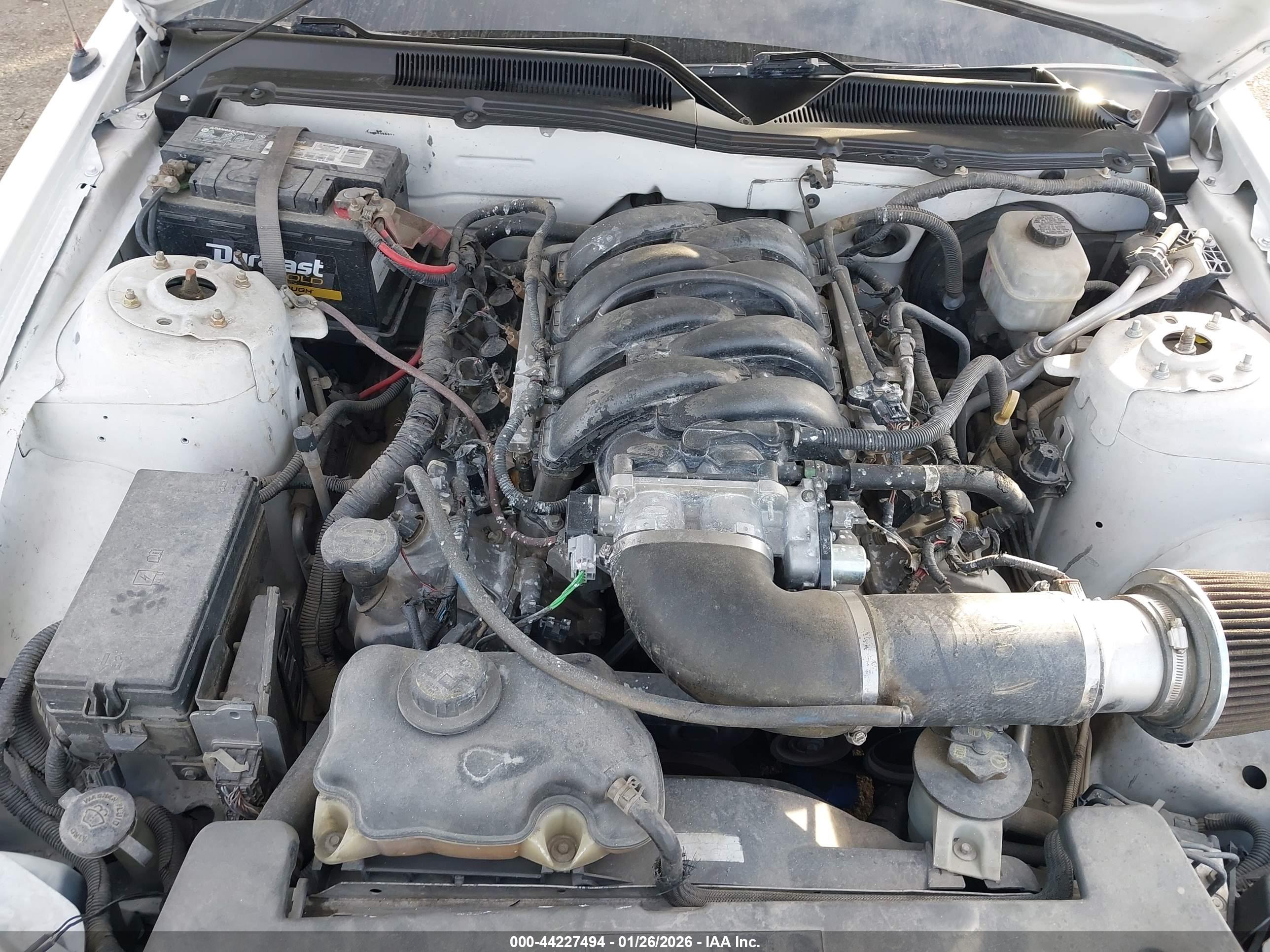 FORD MUSTANG image 10