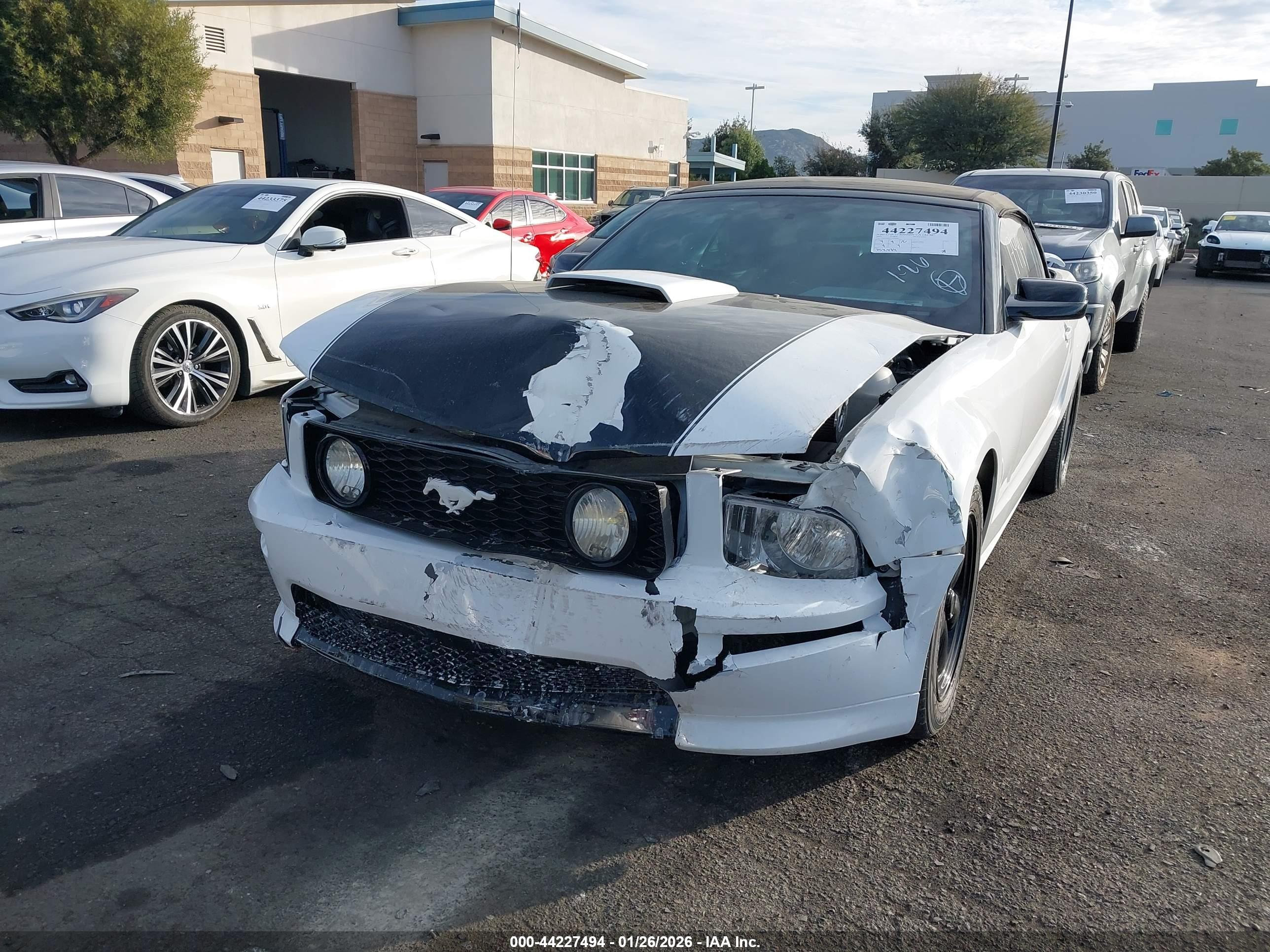FORD MUSTANG image 6