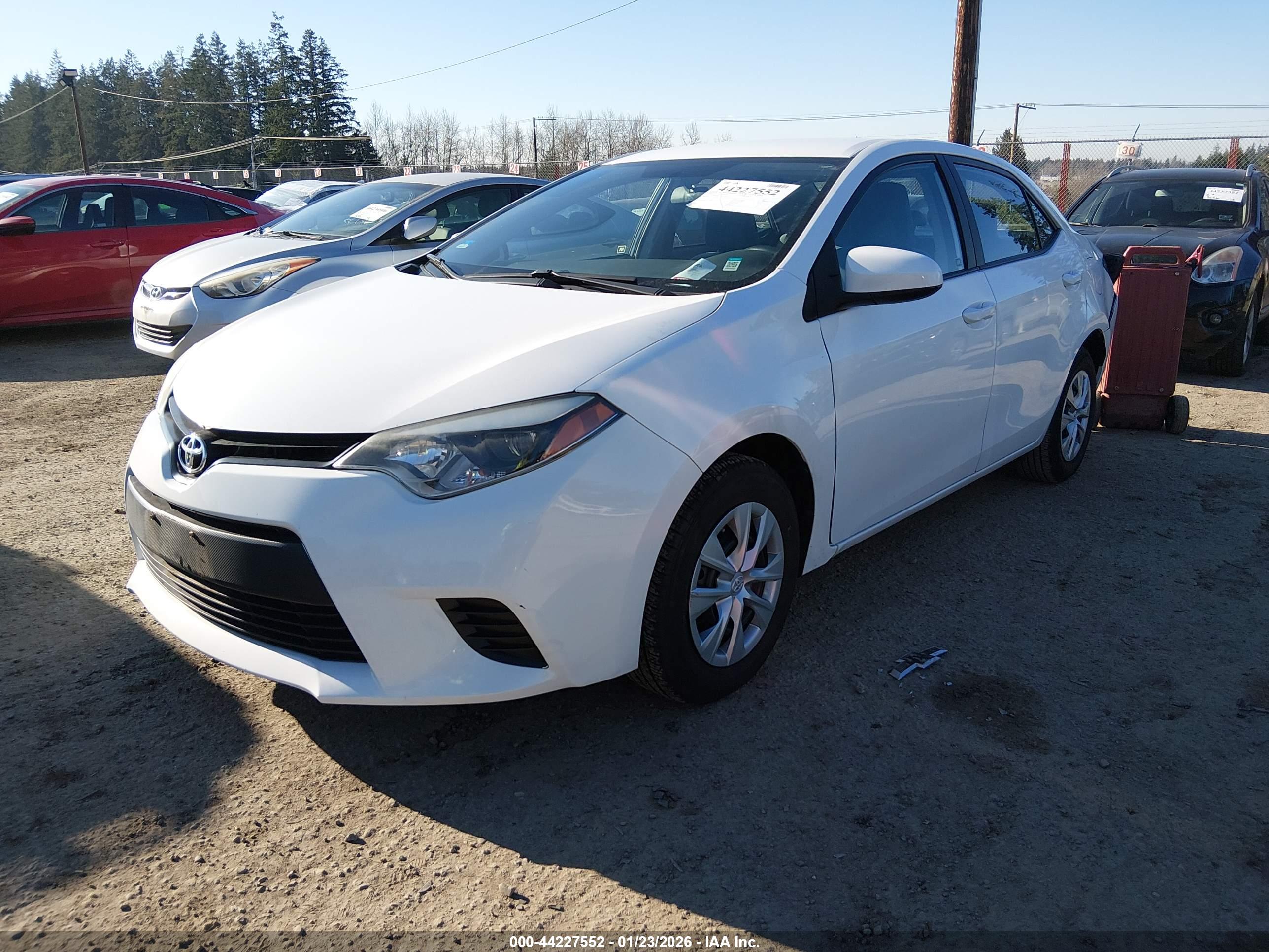 TOYOTA COROLLA image 2