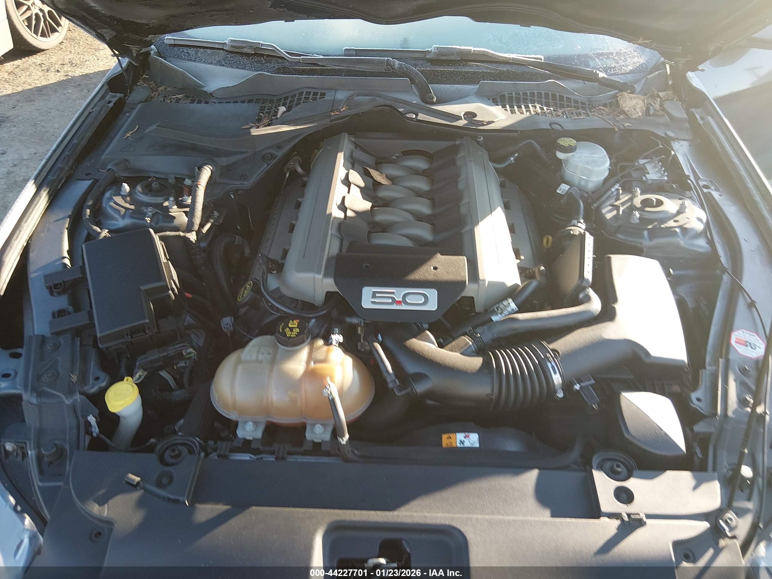 FORD MUSTANG image 10