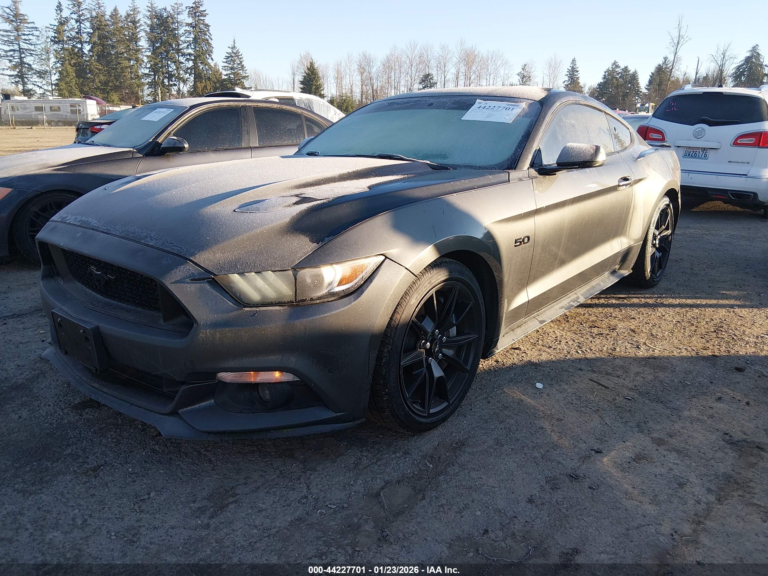 FORD MUSTANG image 2