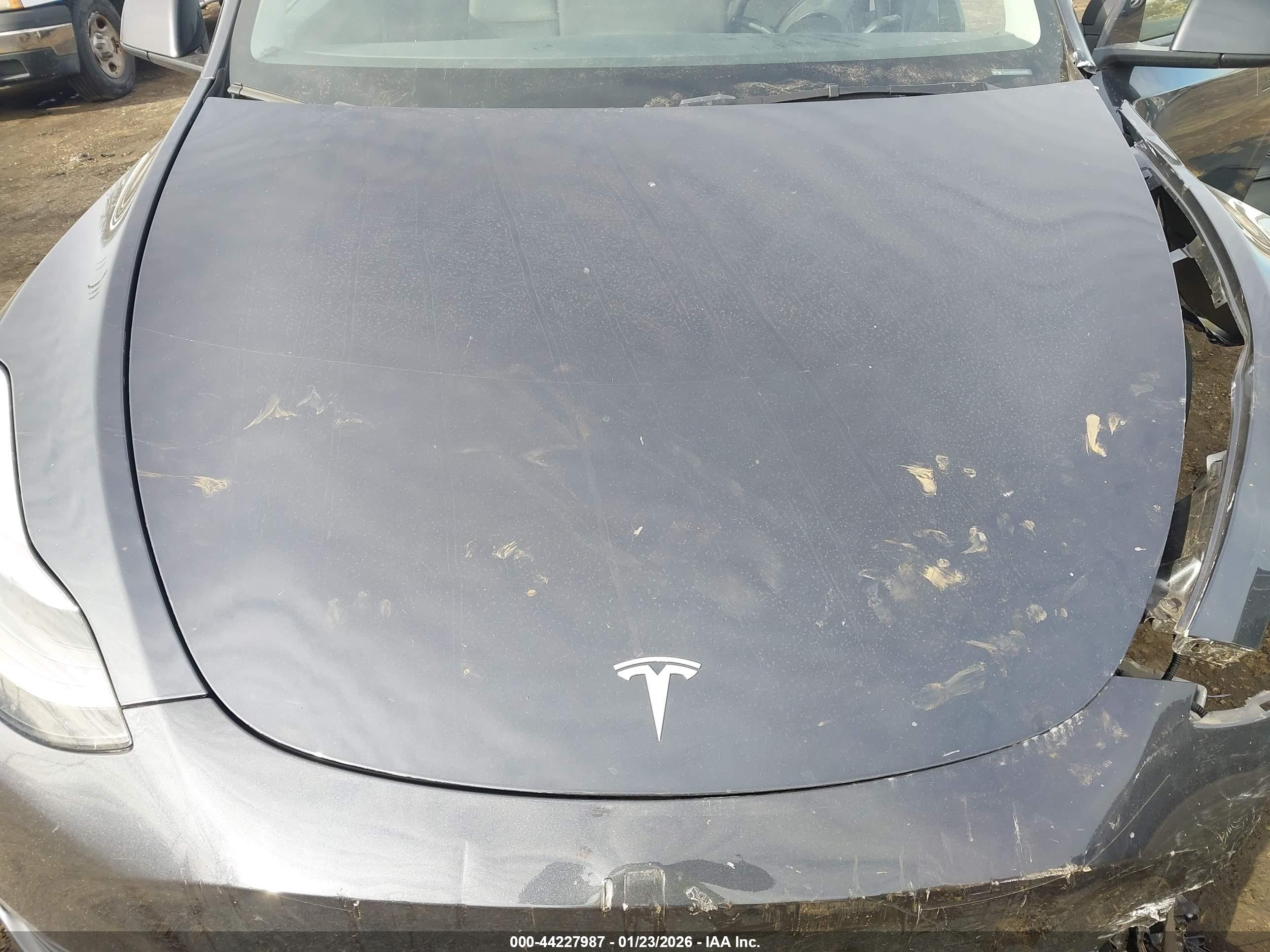 TESLA MODEL image 10