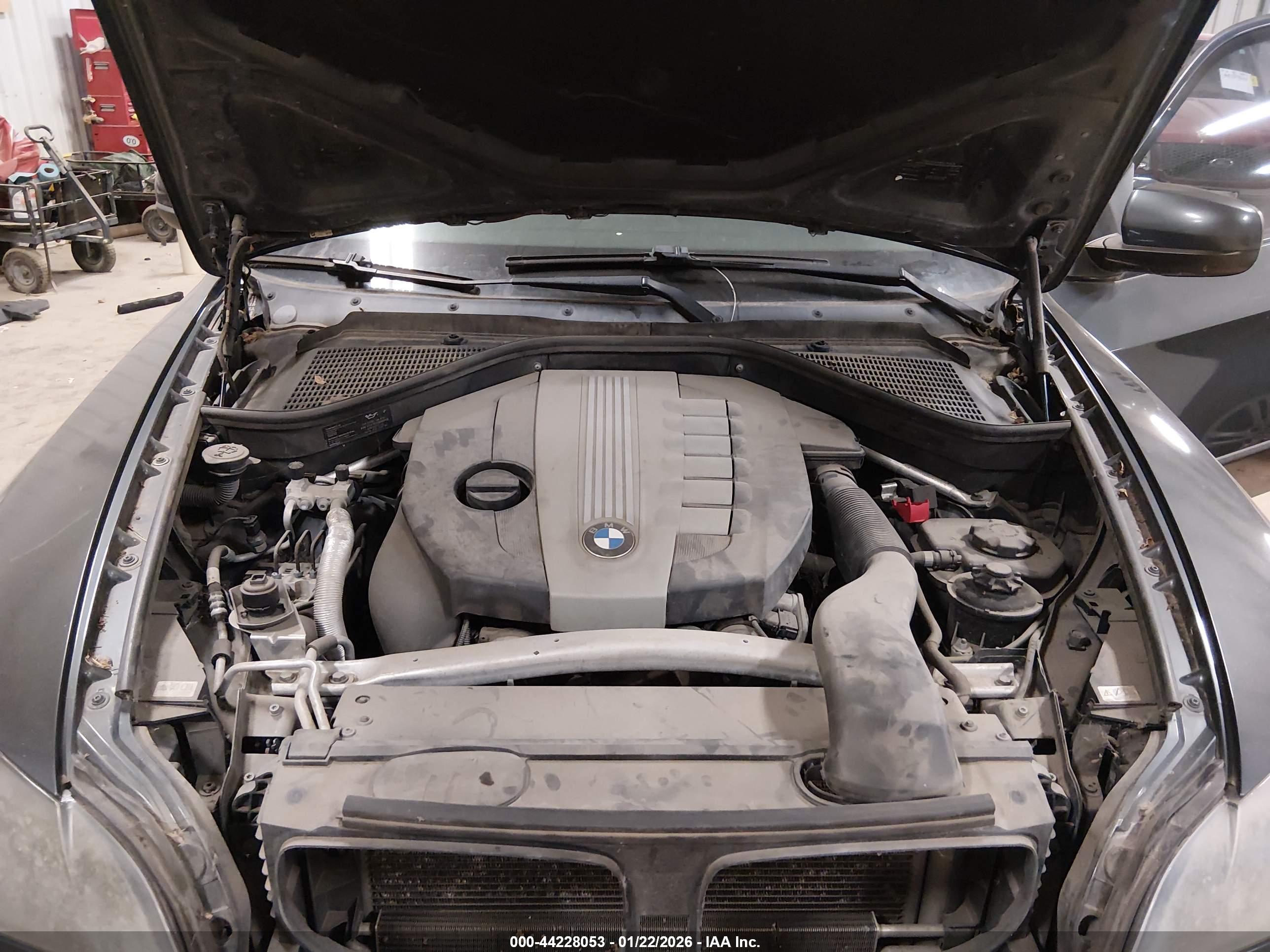 BMW X5 image 10