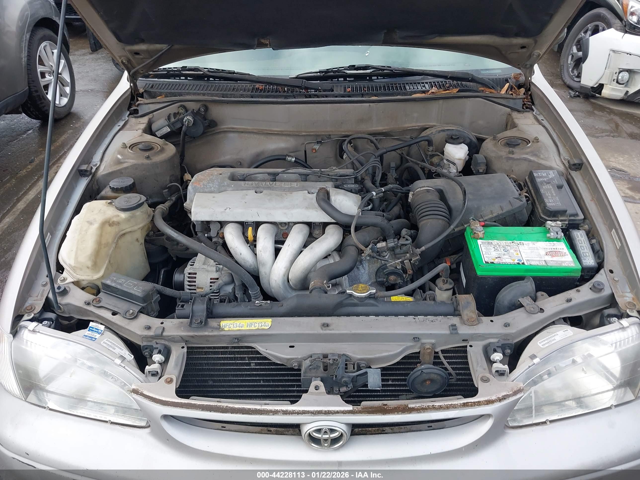 TOYOTA COROLLA image 10