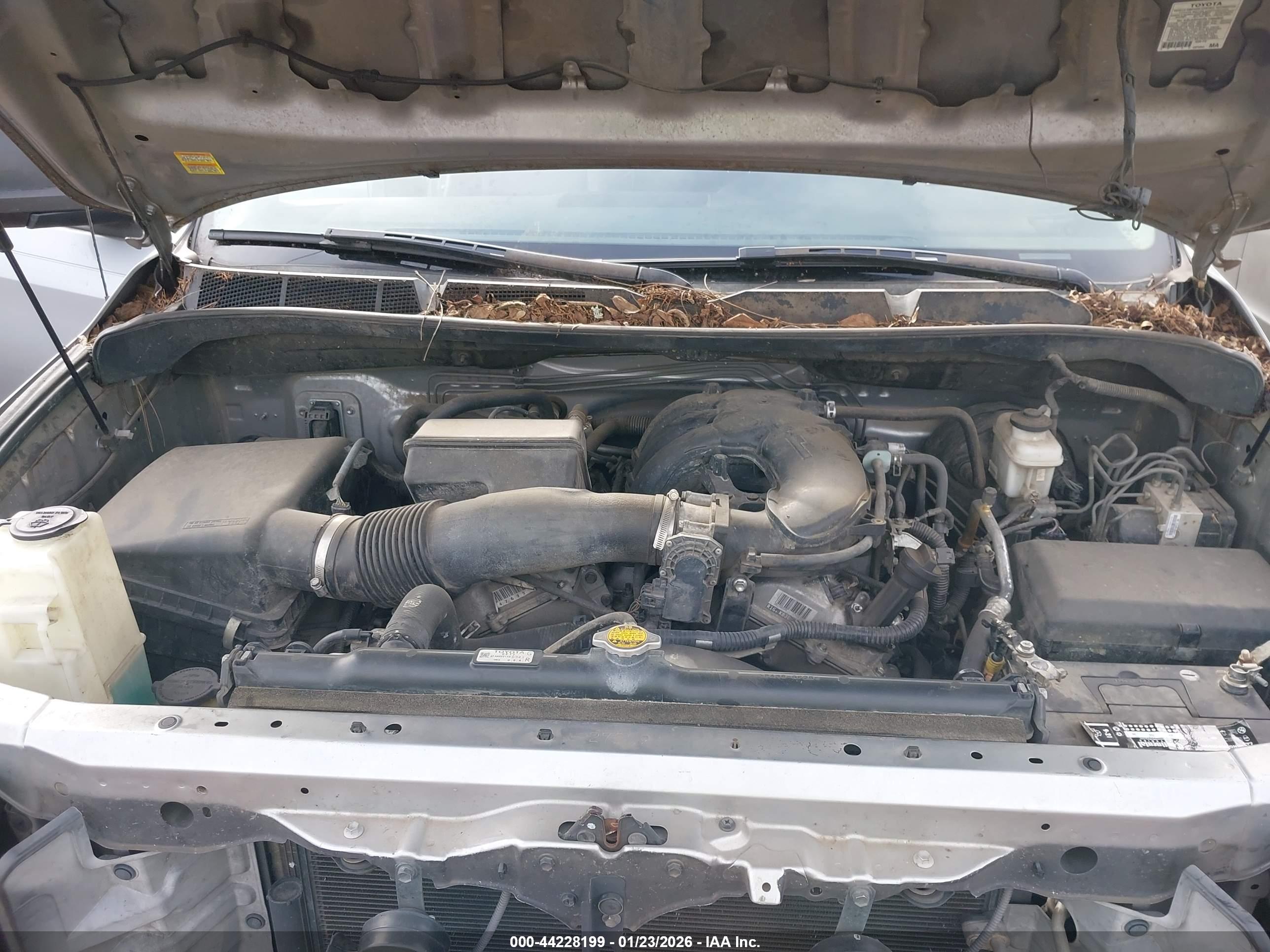 TOYOTA TUNDRA image 10