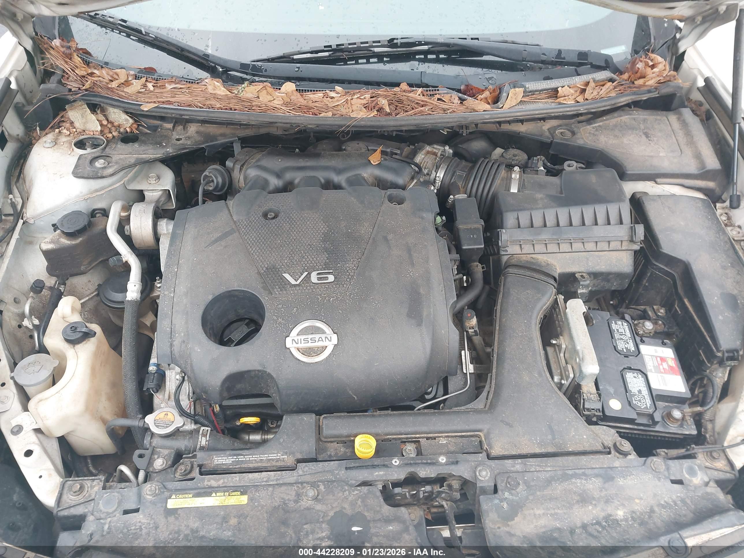 NISSAN MAXIMA image 10