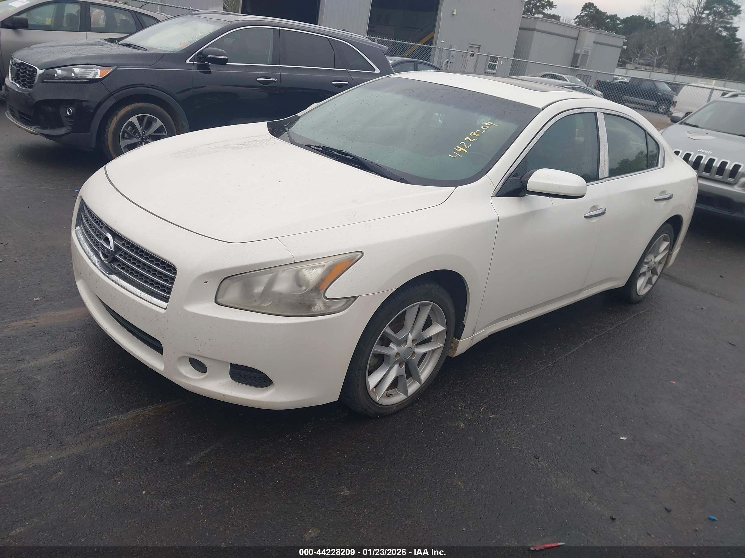 NISSAN MAXIMA image 2