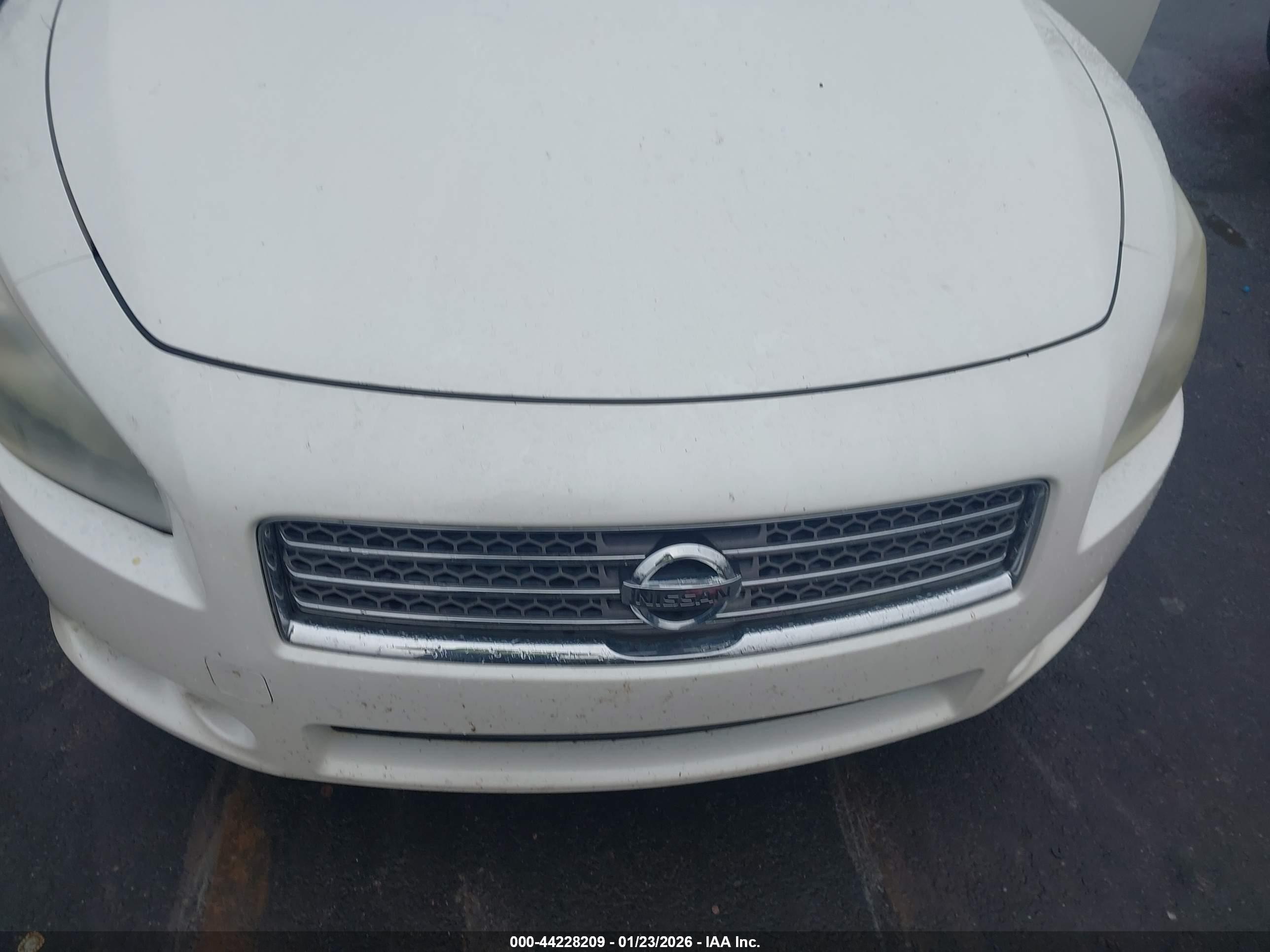 NISSAN MAXIMA image 6