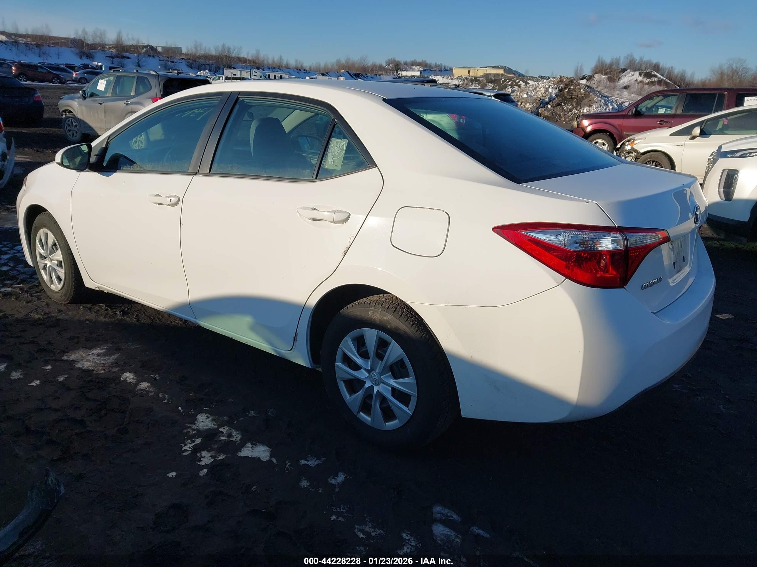 TOYOTA COROLLA image 3