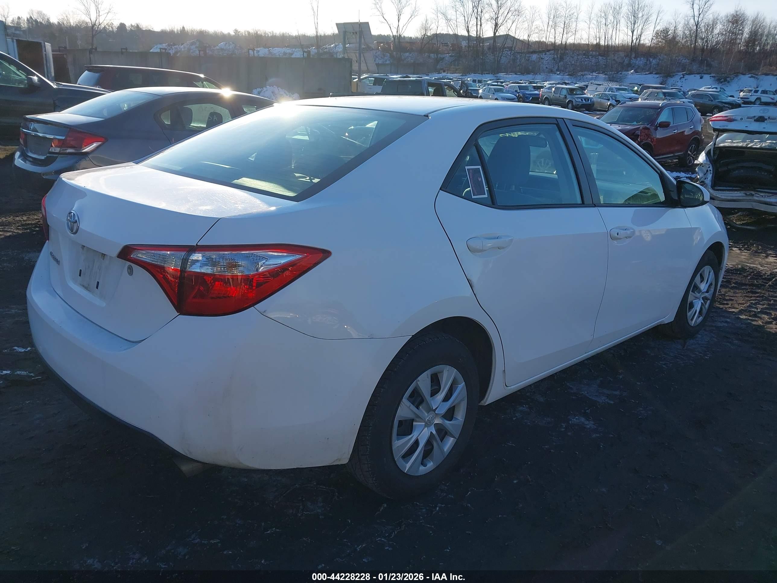 TOYOTA COROLLA image 4