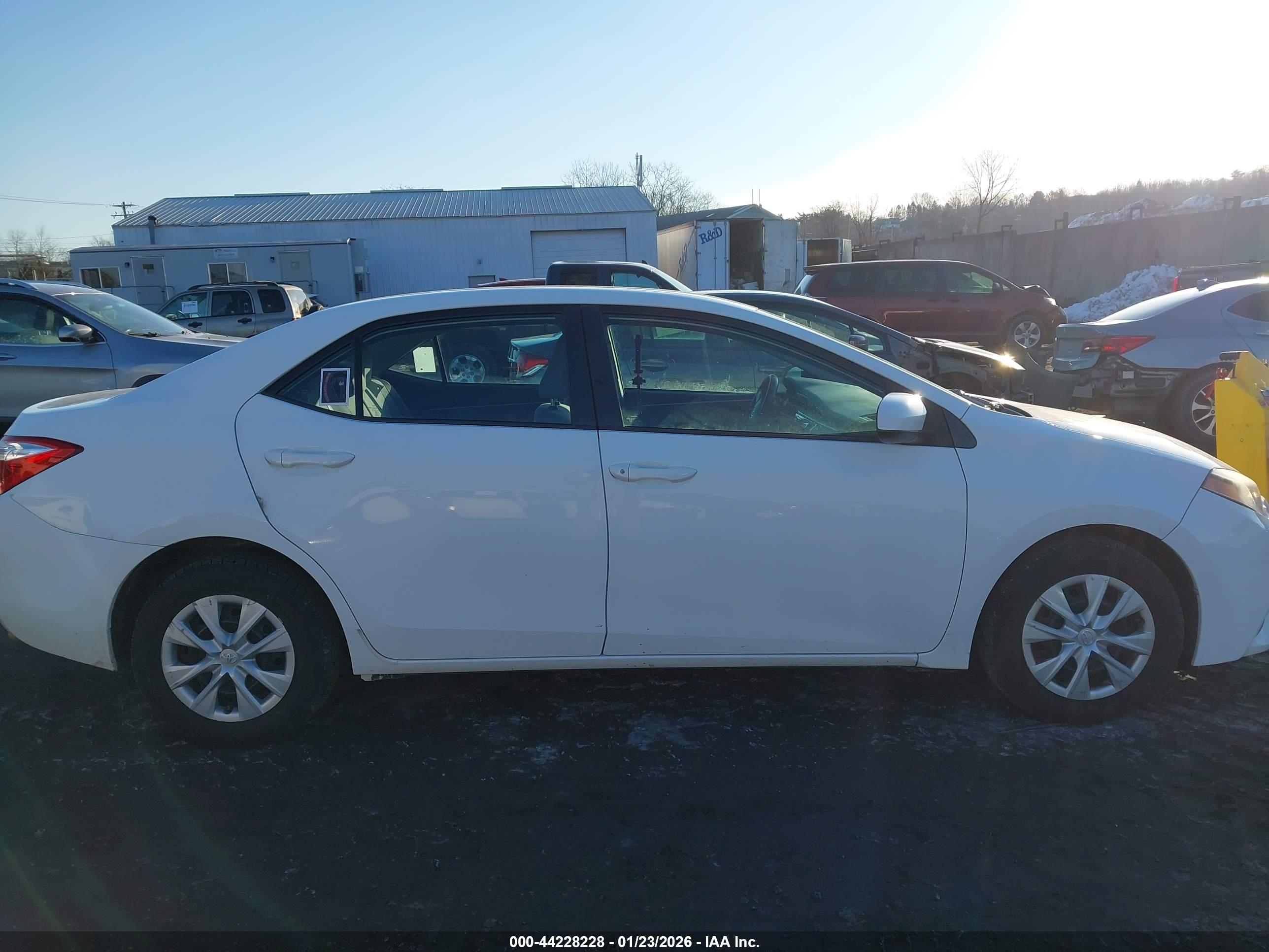 TOYOTA COROLLA image 6