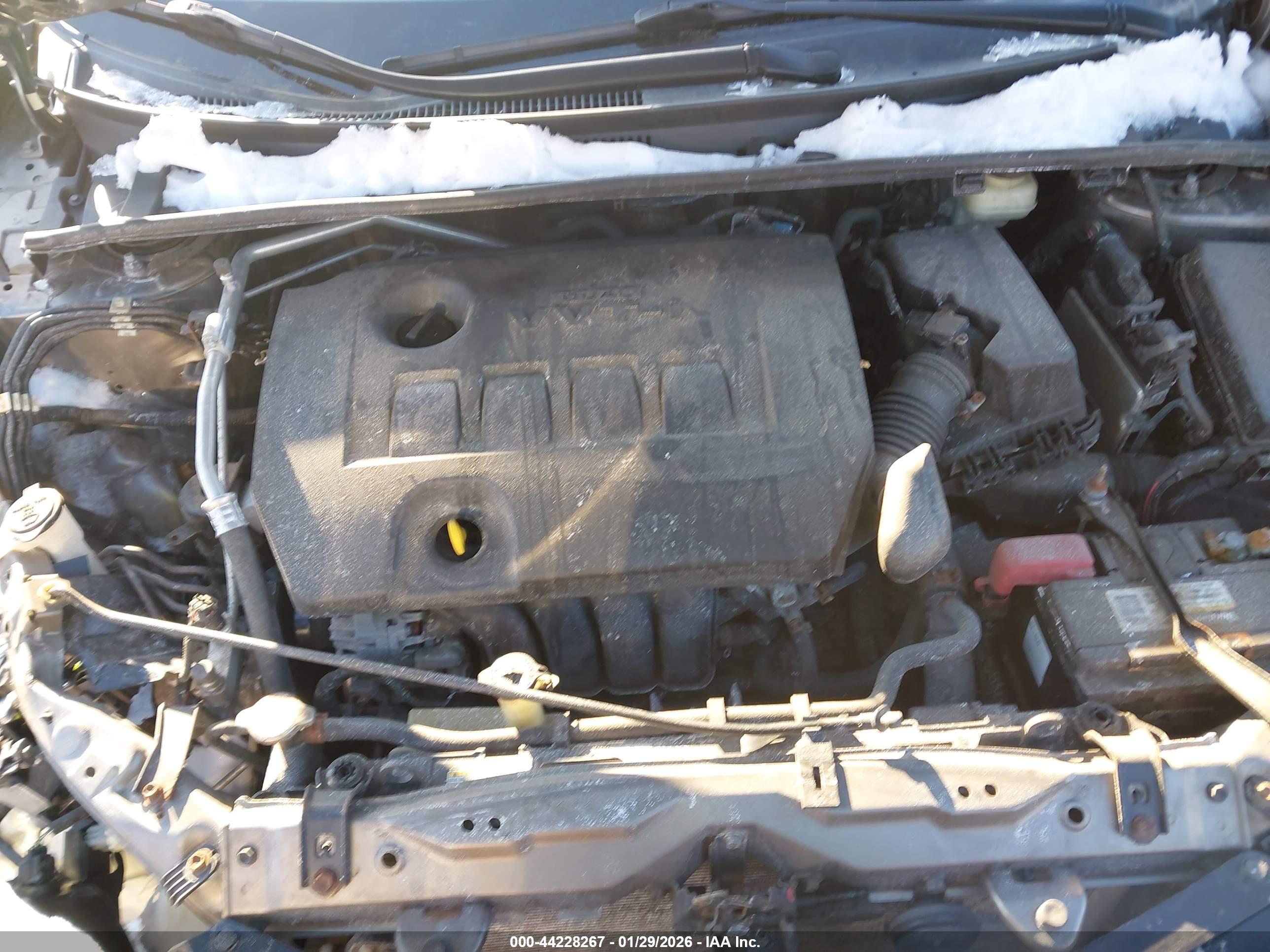 TOYOTA COROLLA image 10