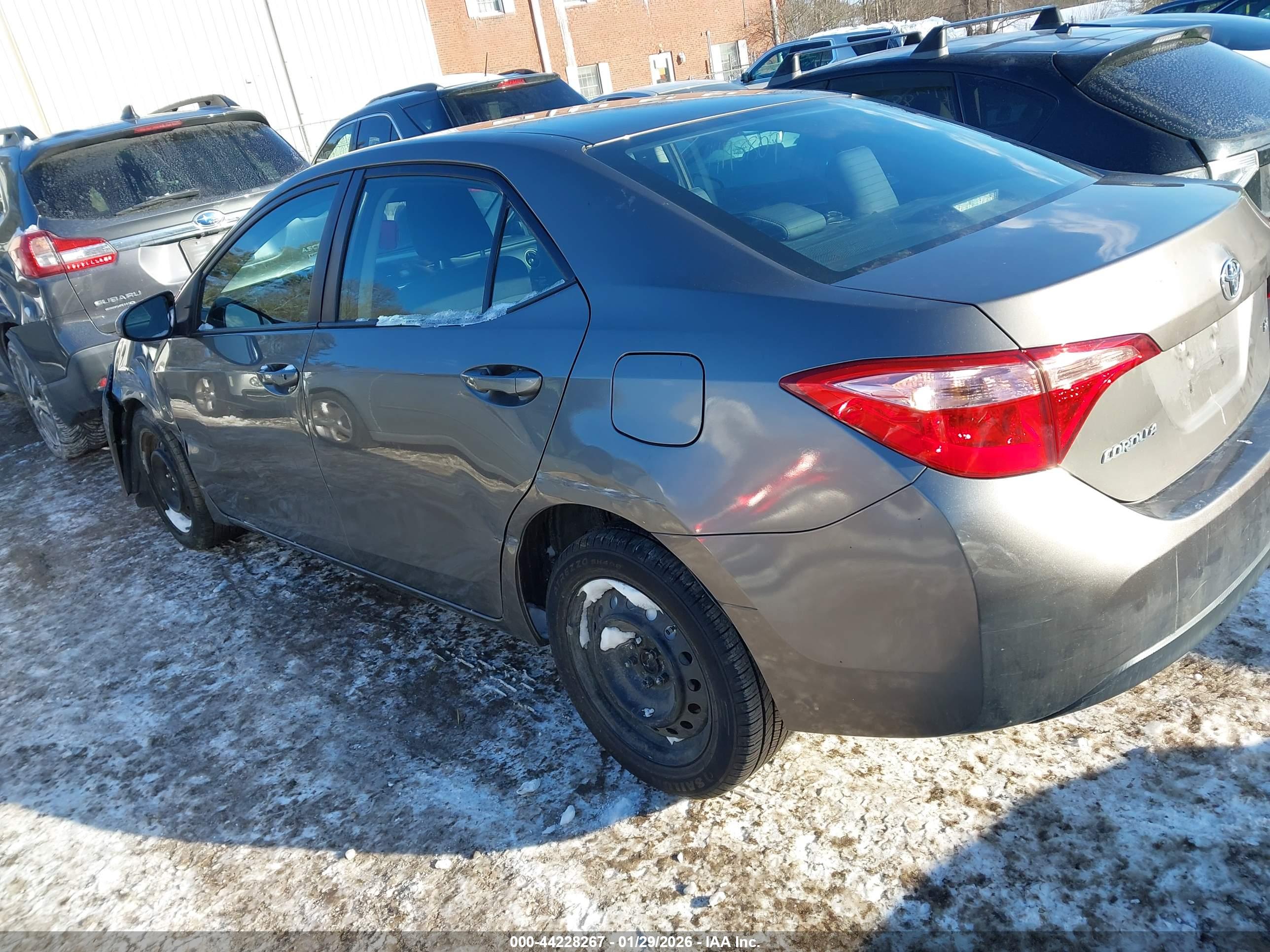 TOYOTA COROLLA image 3