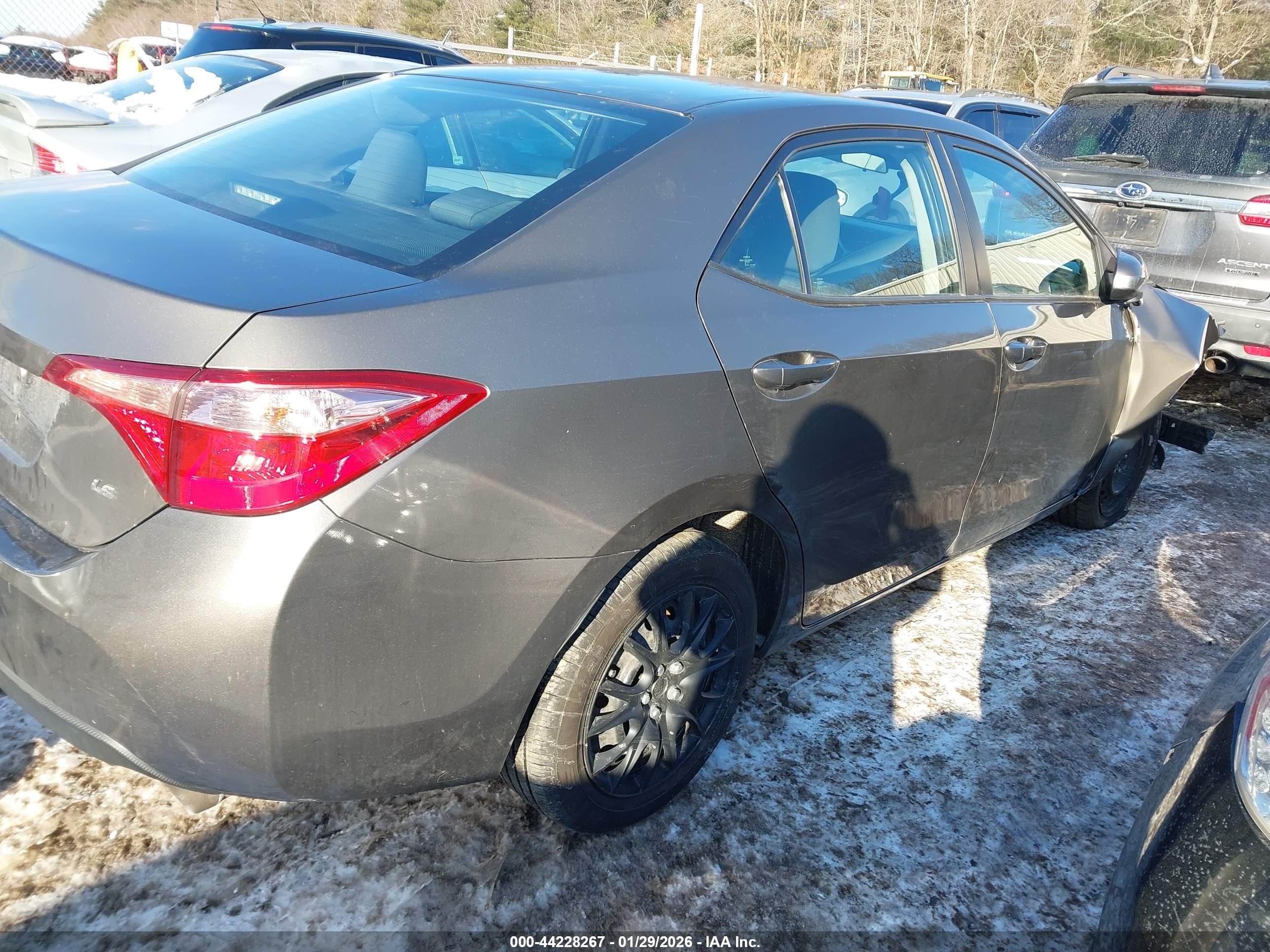 TOYOTA COROLLA image 4
