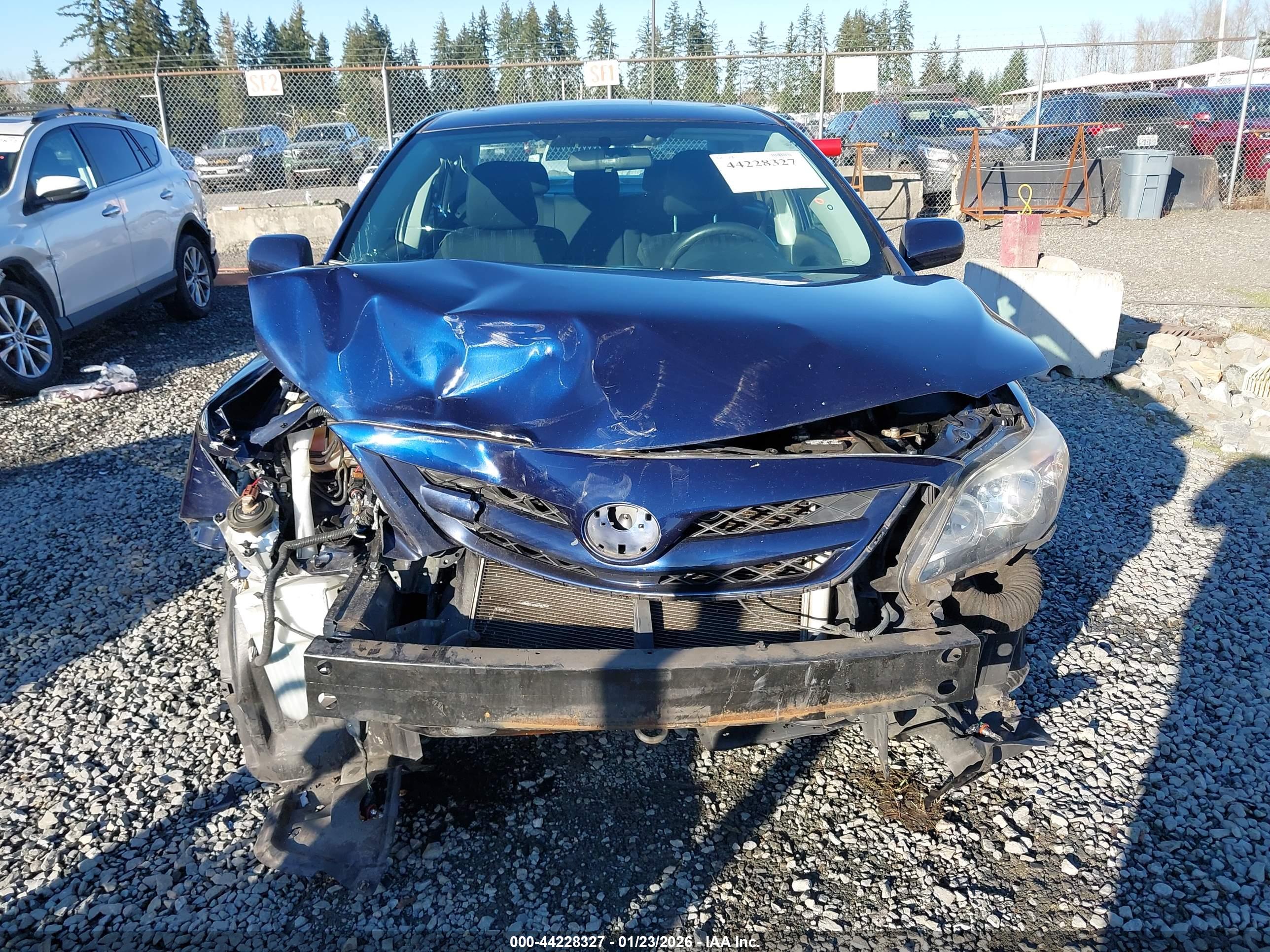 TOYOTA COROLLA image 6