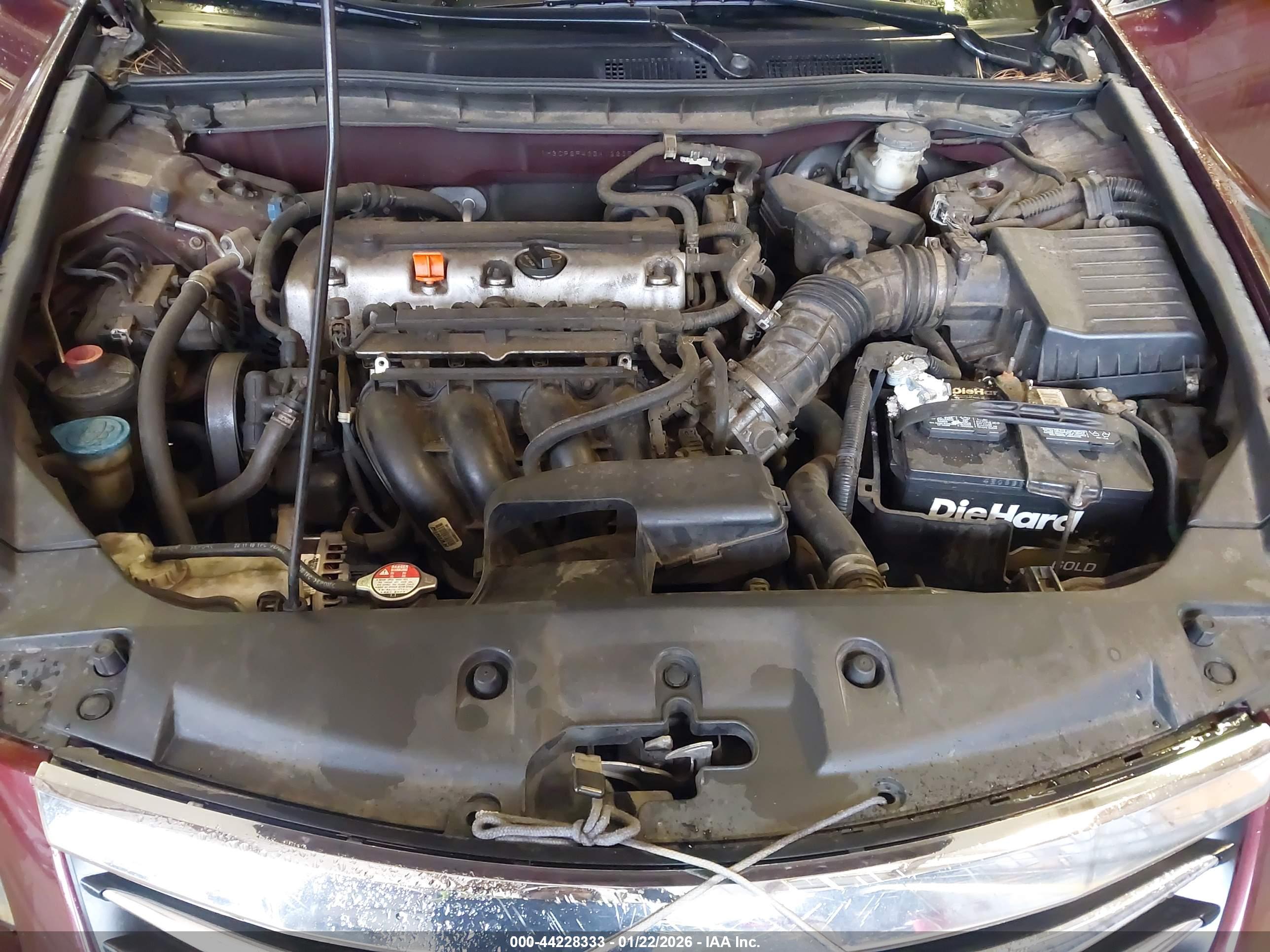HONDA ACCORD image 10