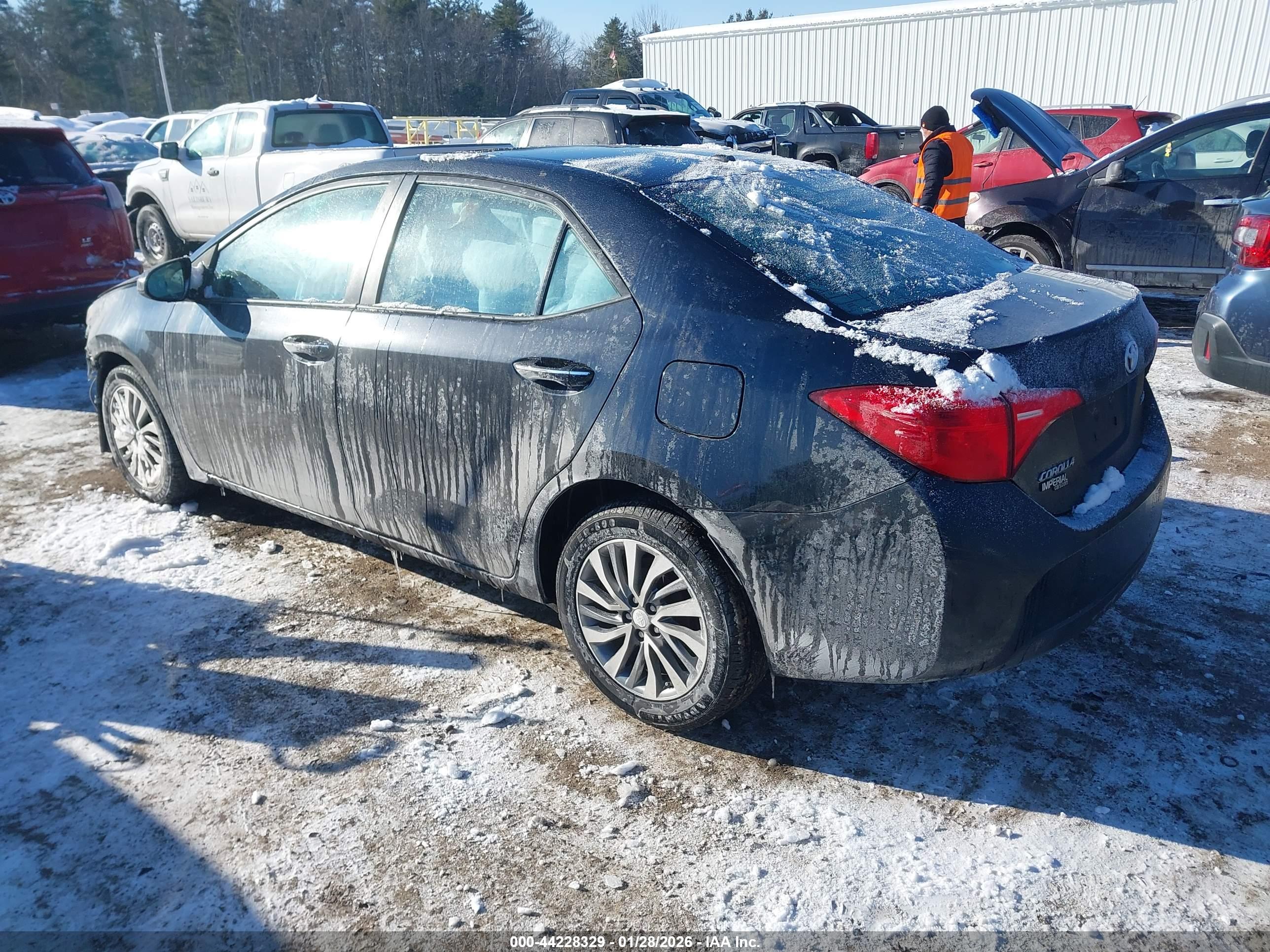 TOYOTA COROLLA image 3