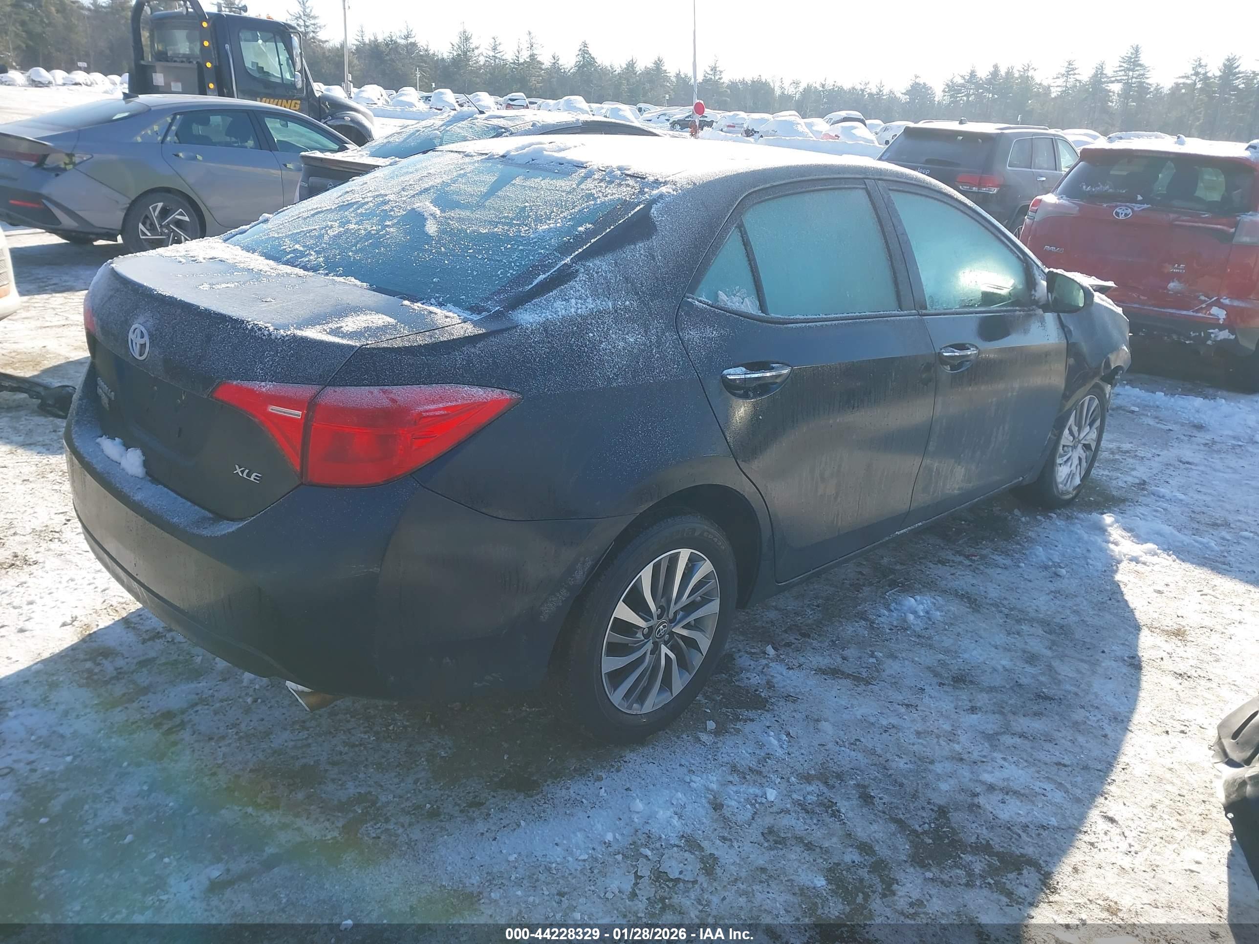 TOYOTA COROLLA image 4