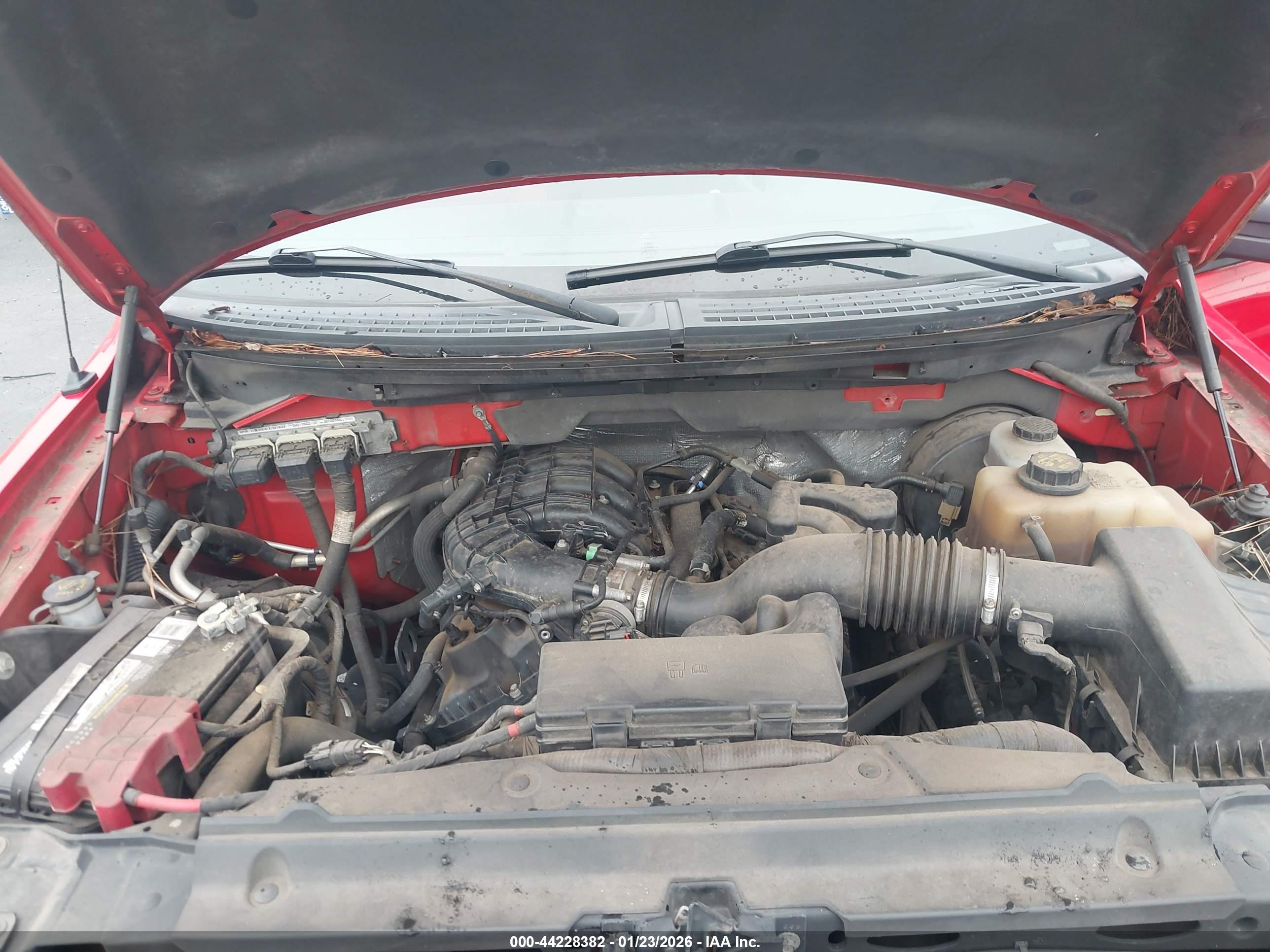 FORD F-150 image 10