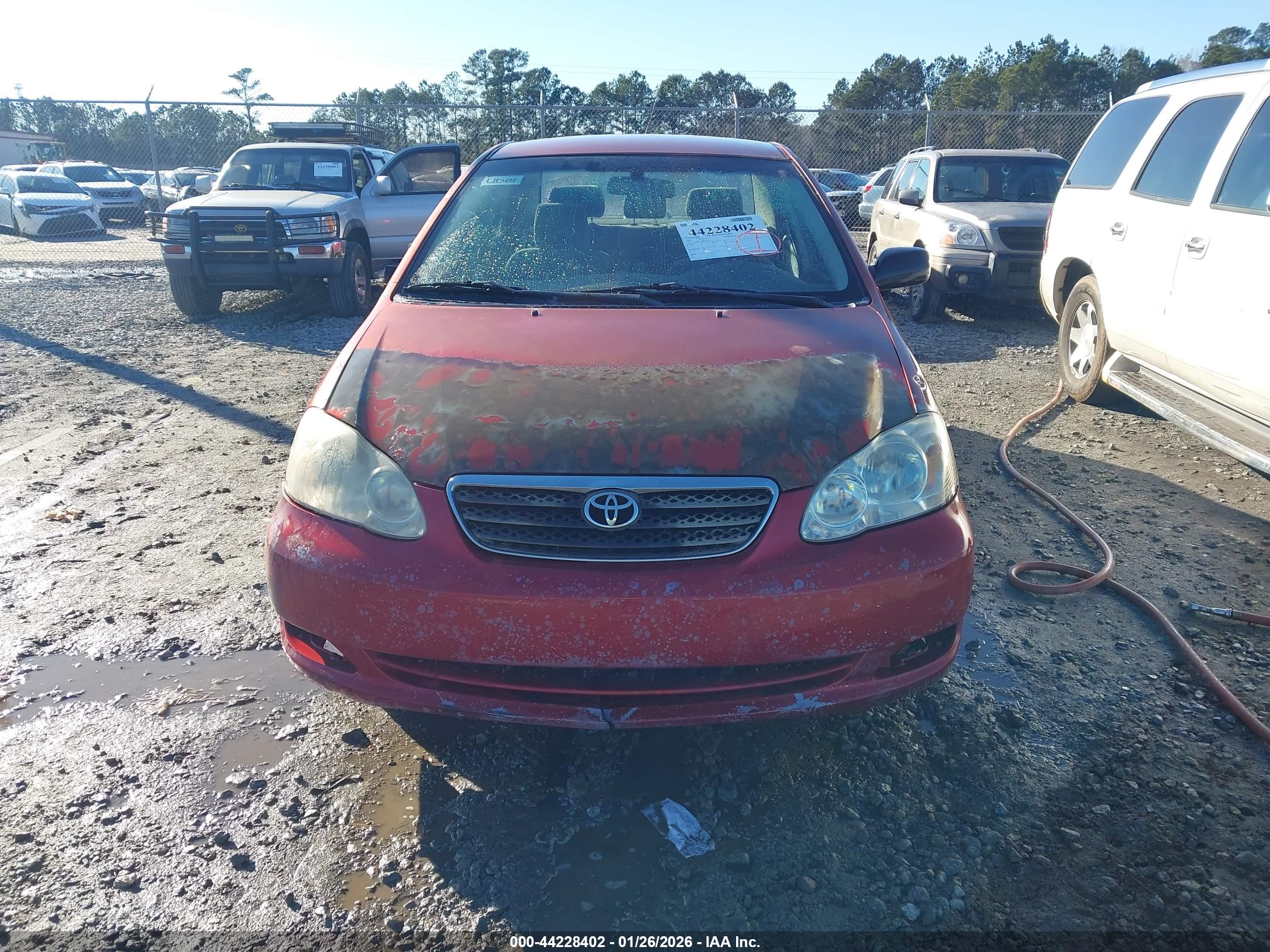 TOYOTA COROLLA image 6
