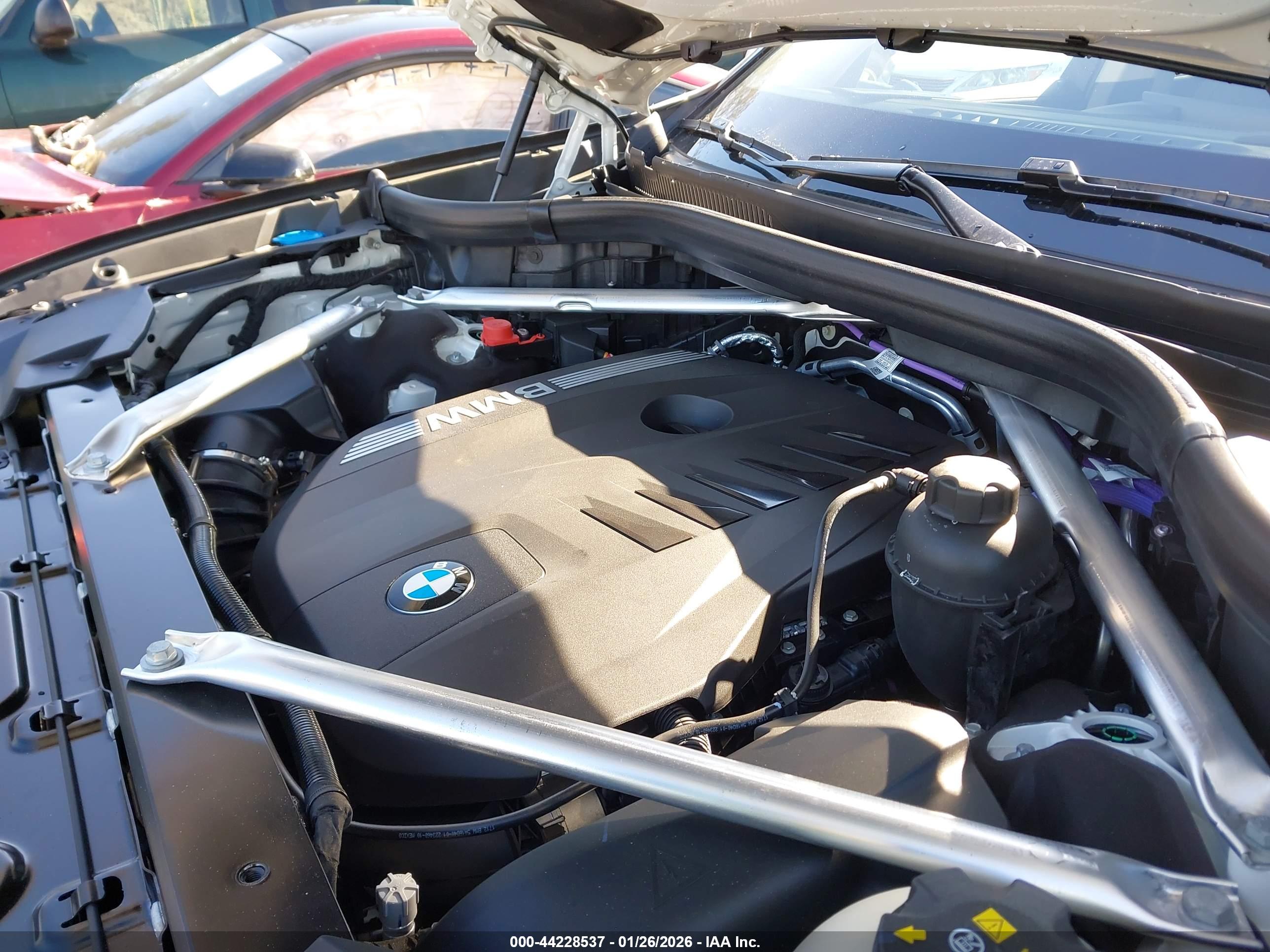 BMW X7 image 10