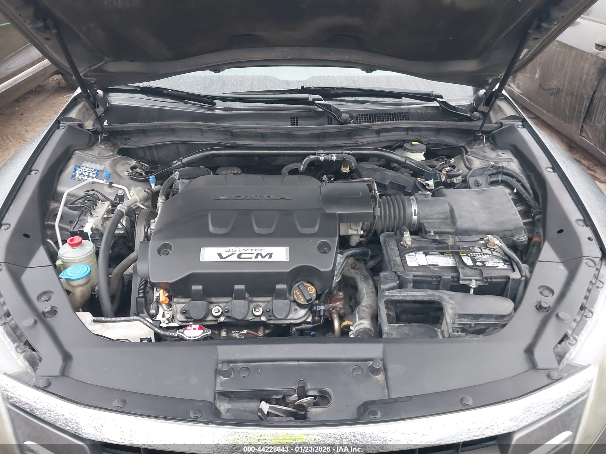 HONDA ACCORD image 10