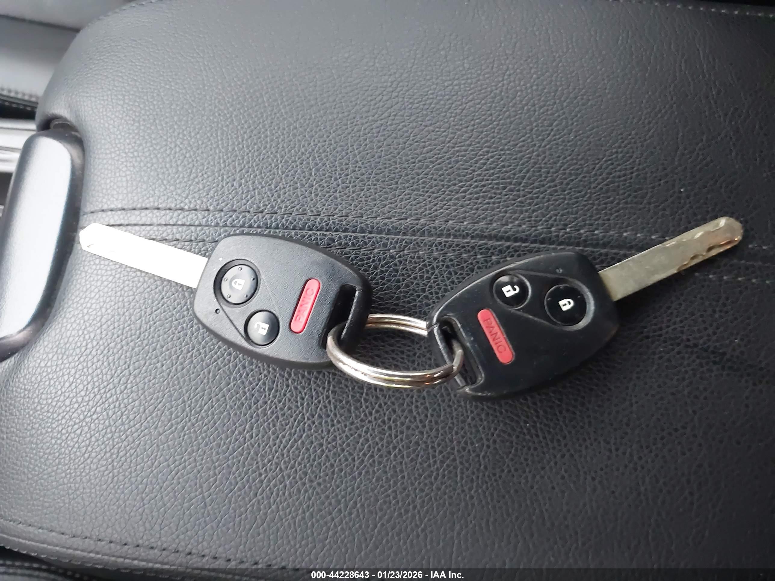 HONDA ACCORD image 11