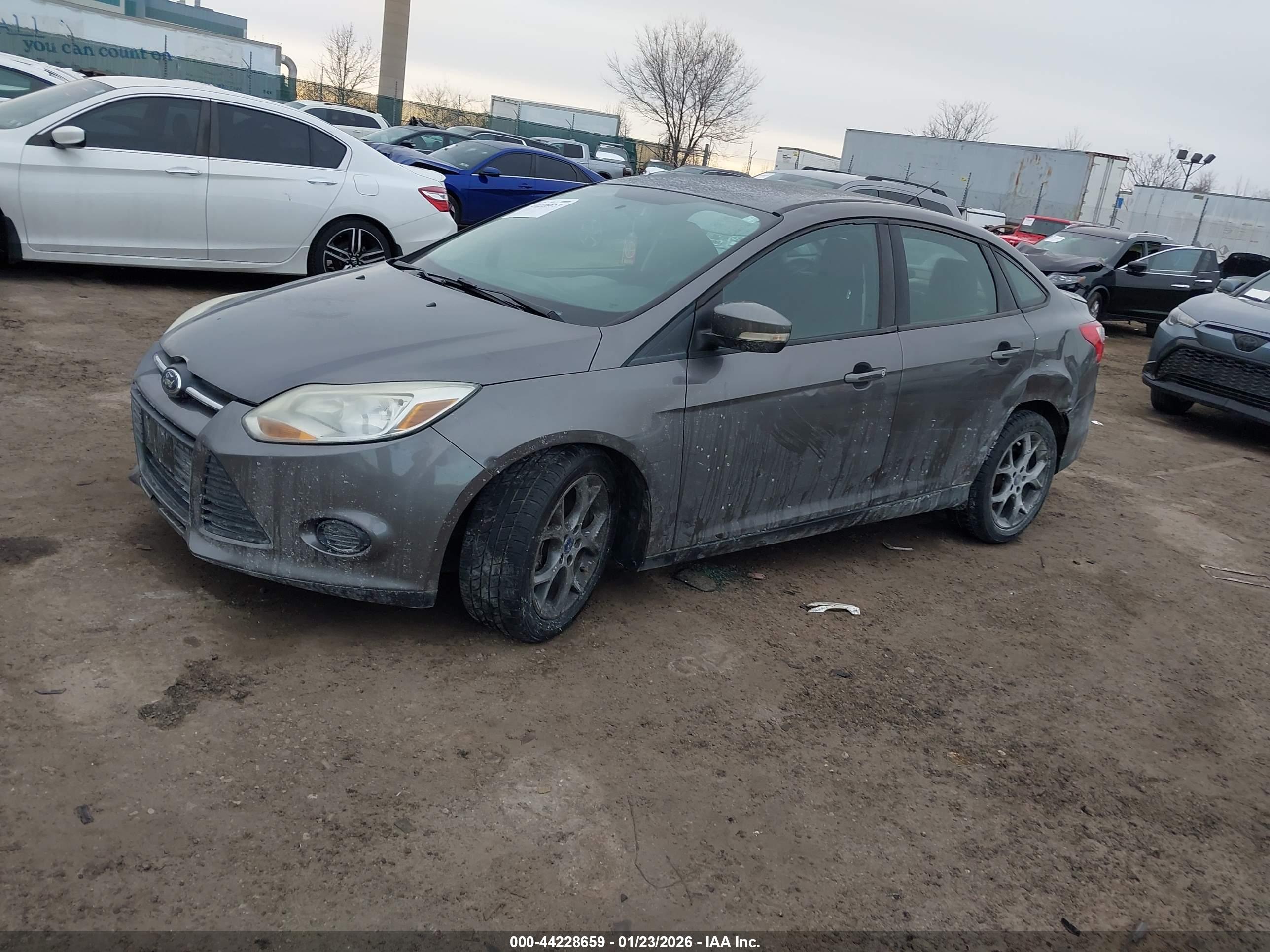 FORD FOCUS image 2