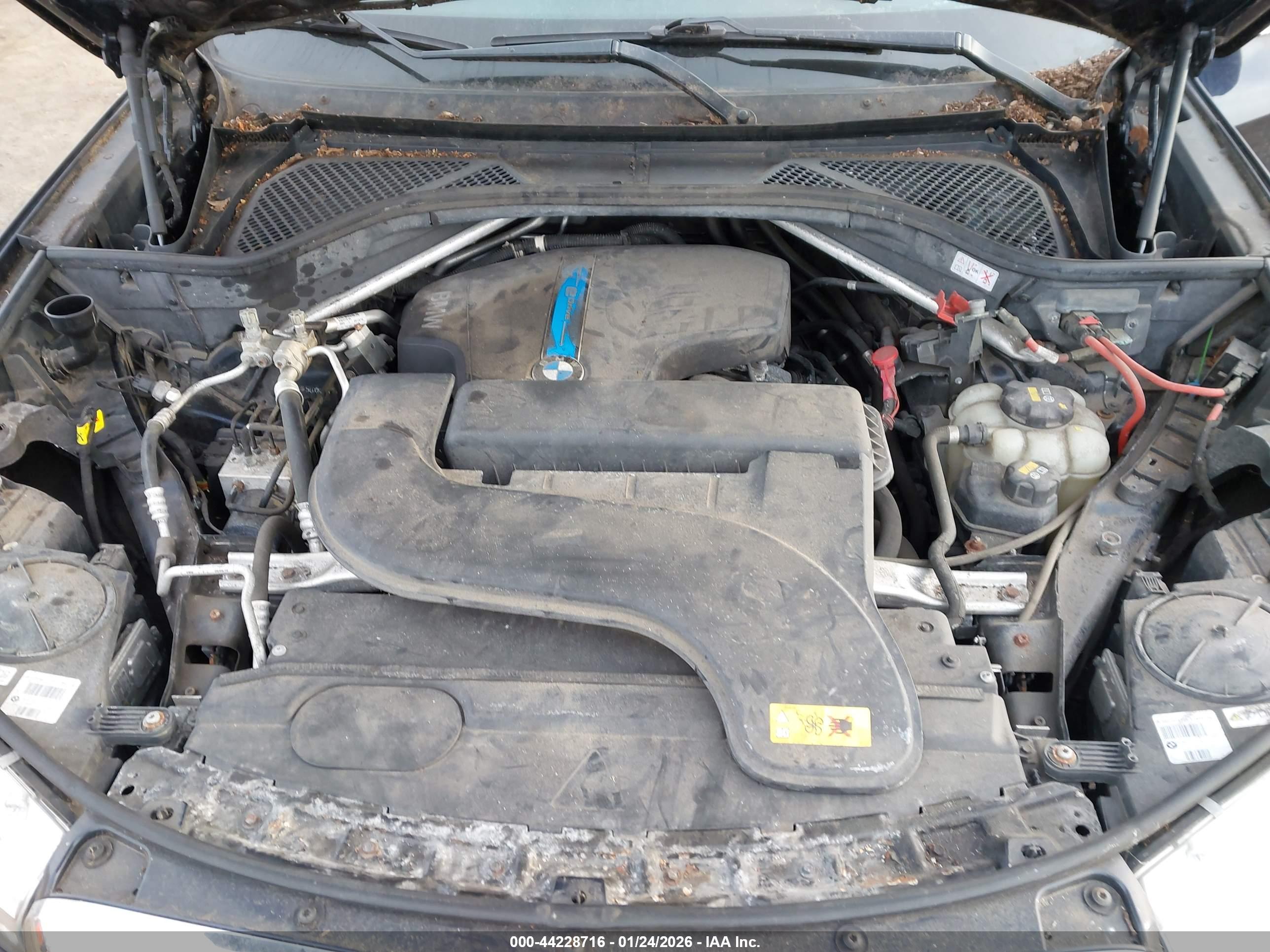 BMW X5 image 10