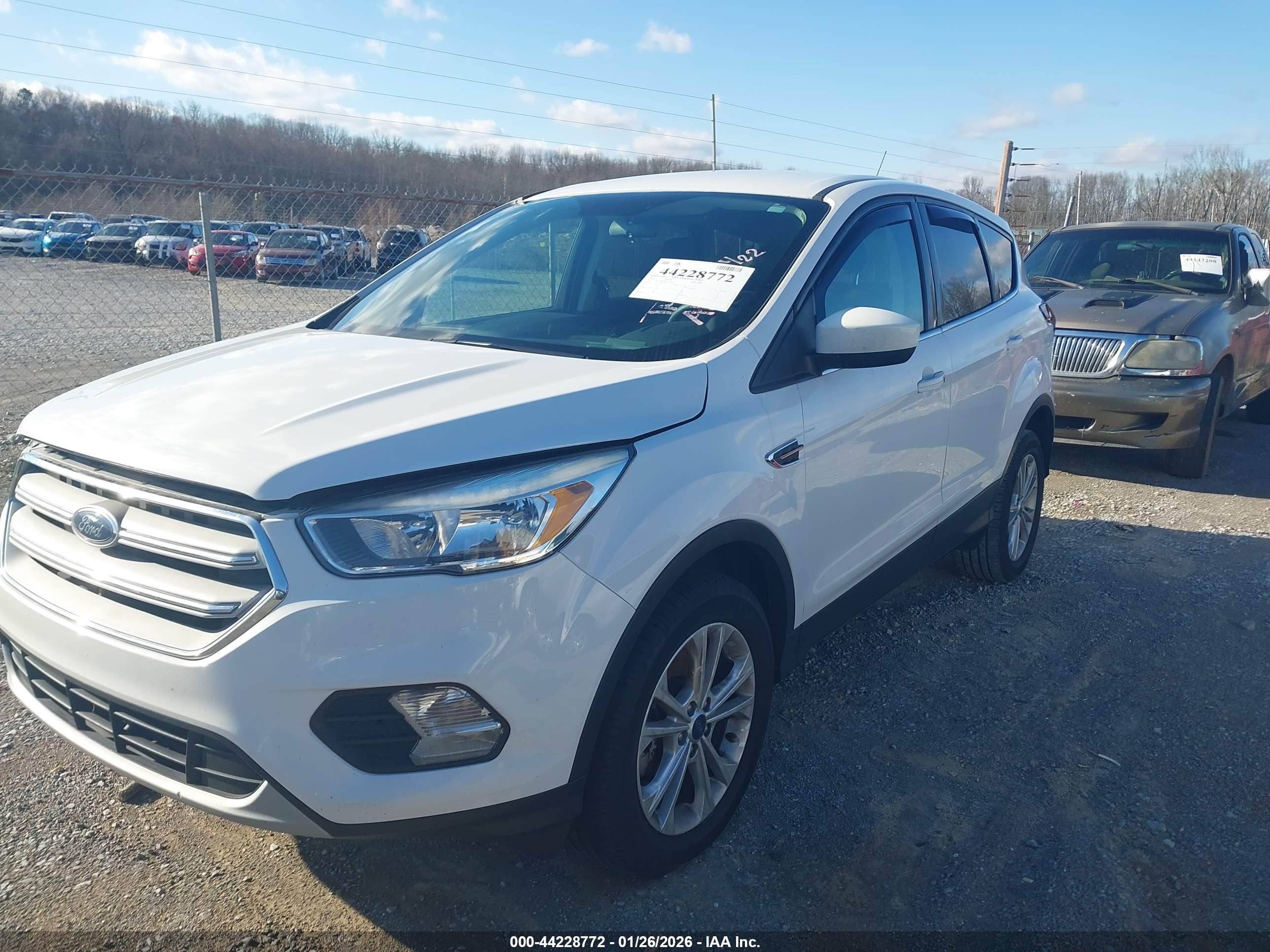 FORD ESCAPE image 2