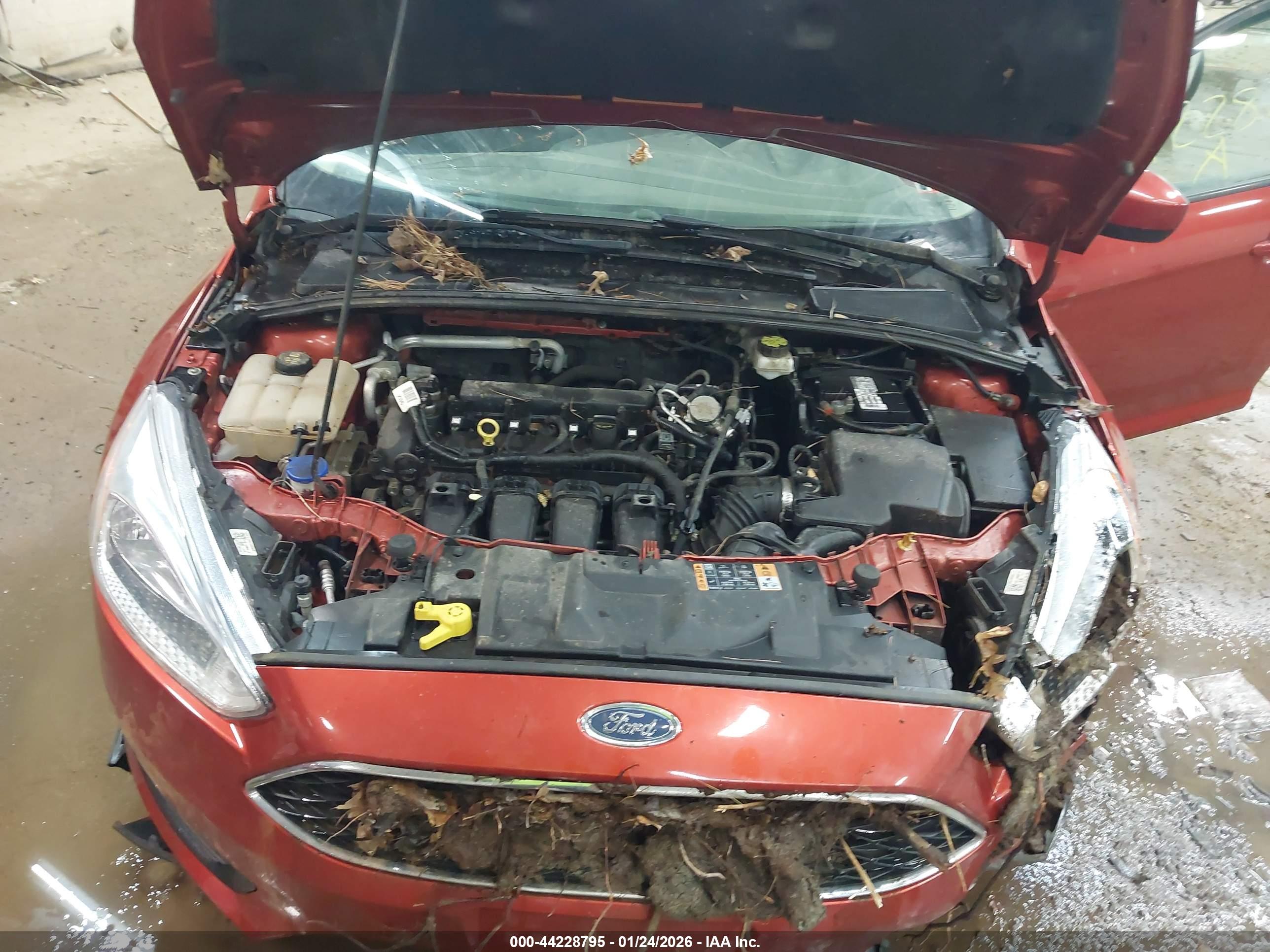 FORD FOCUS image 10