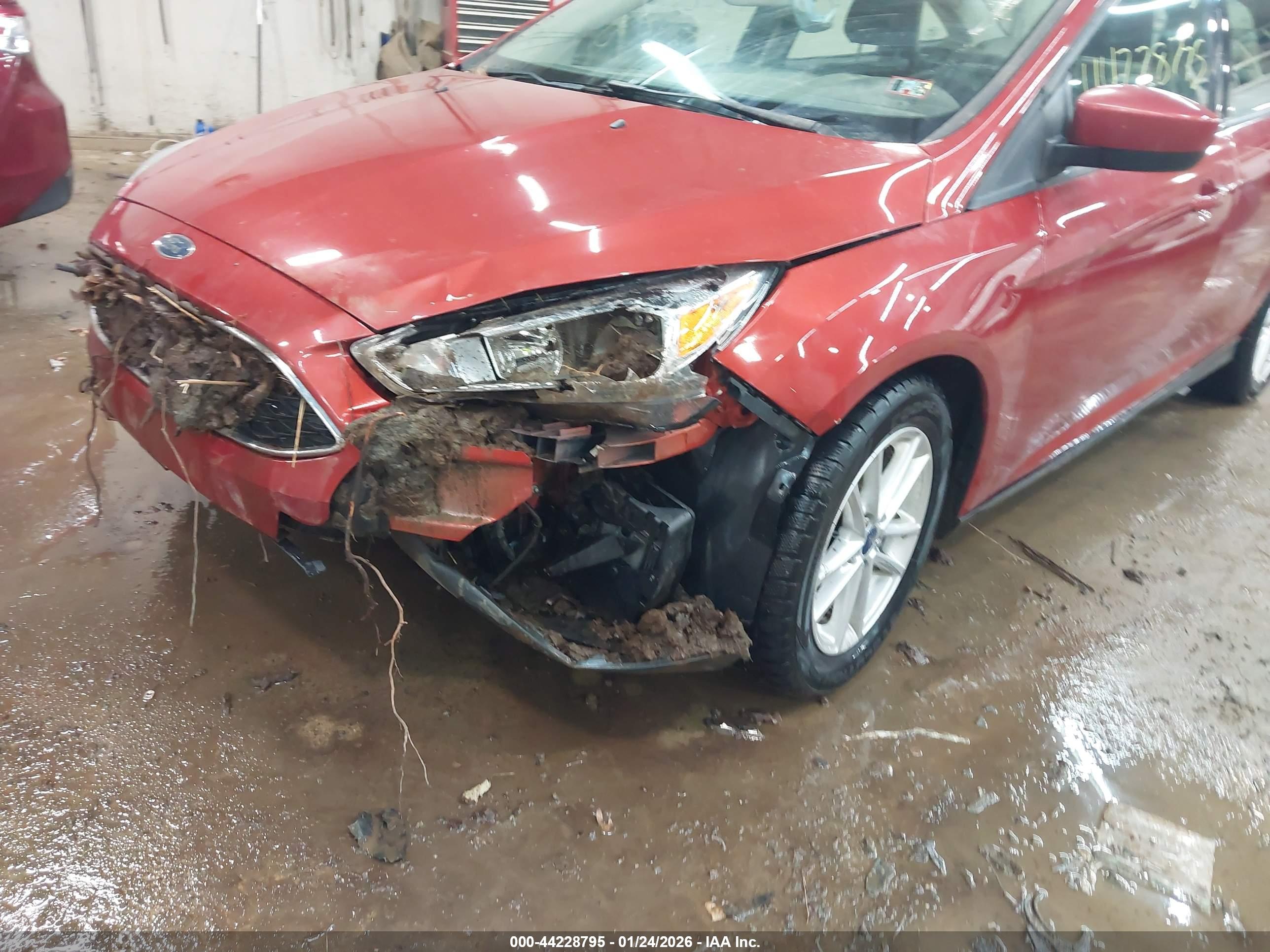 FORD FOCUS image 6