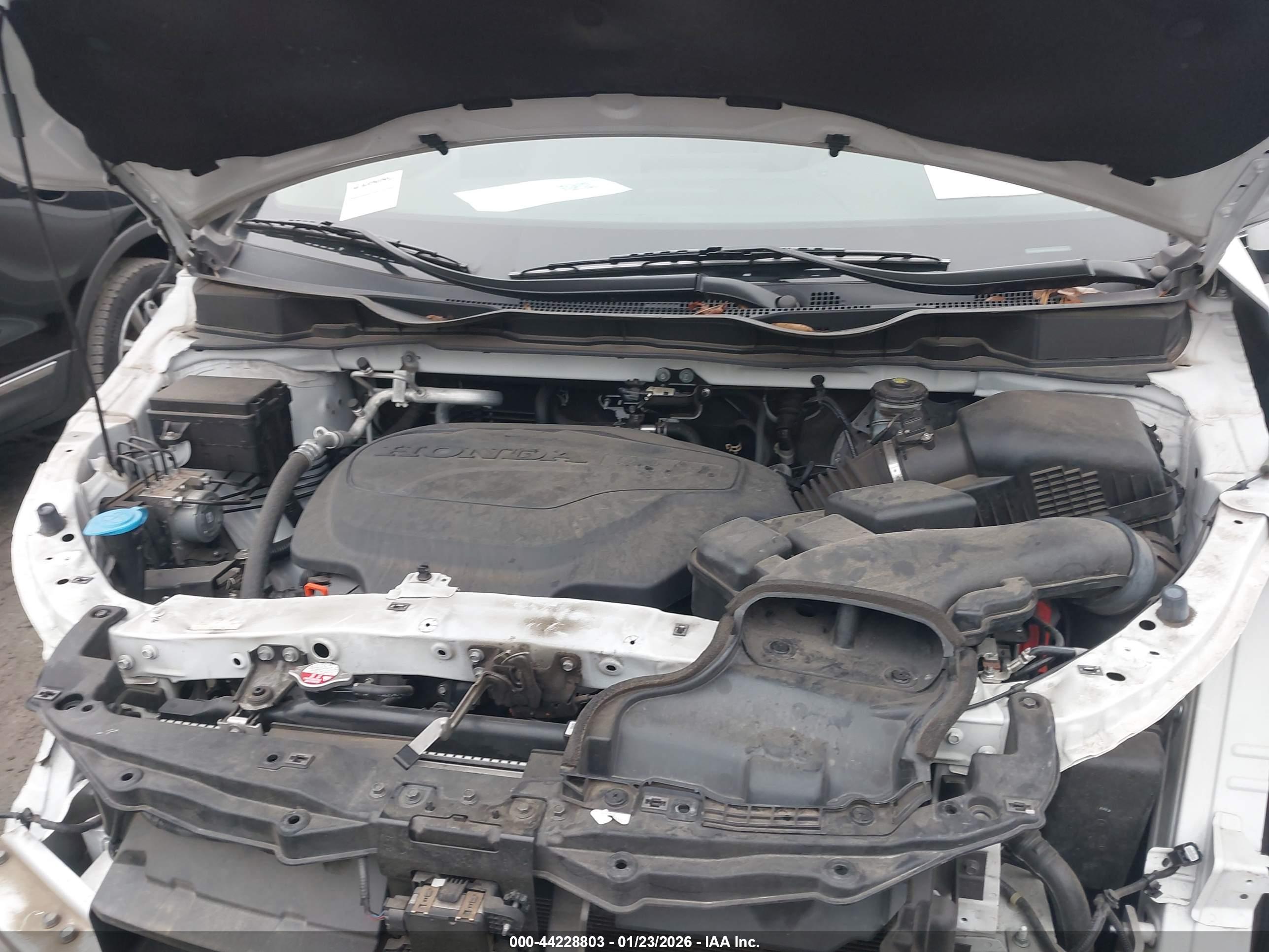 HONDA ODYSSEY image 10
