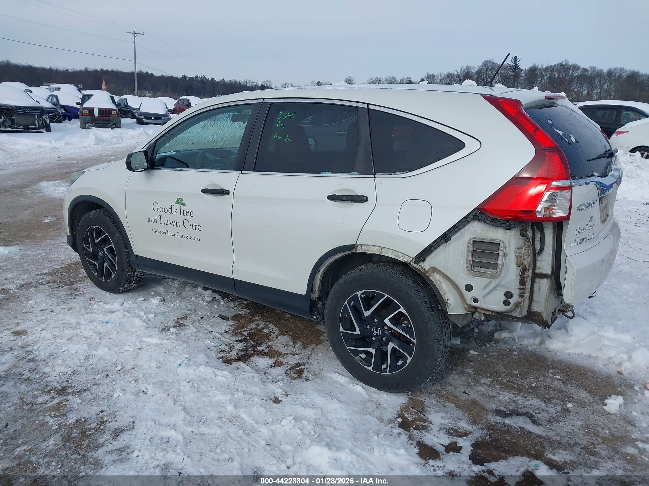 HONDA CR-V image 3