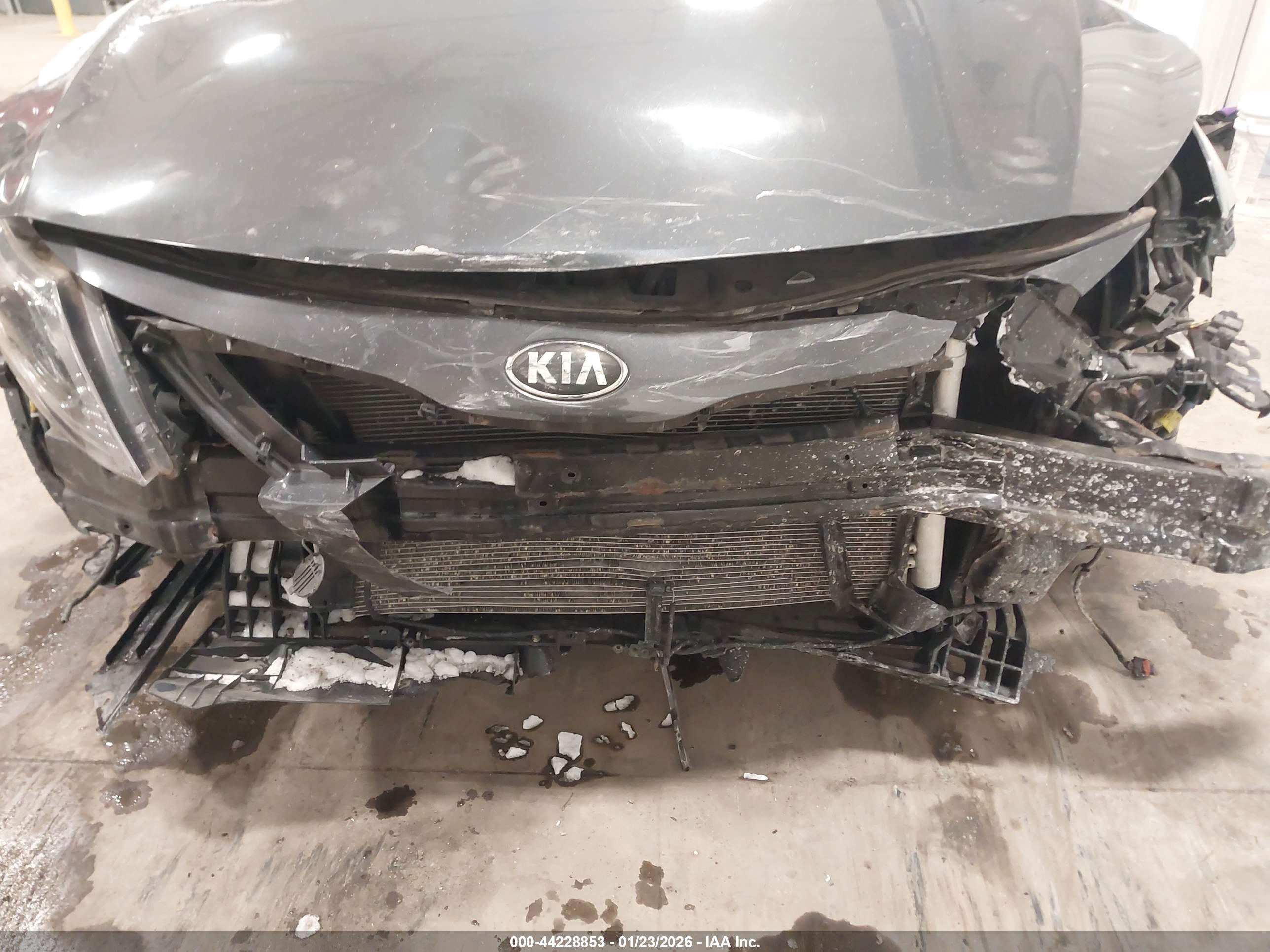 KIA OPTIMA image 6