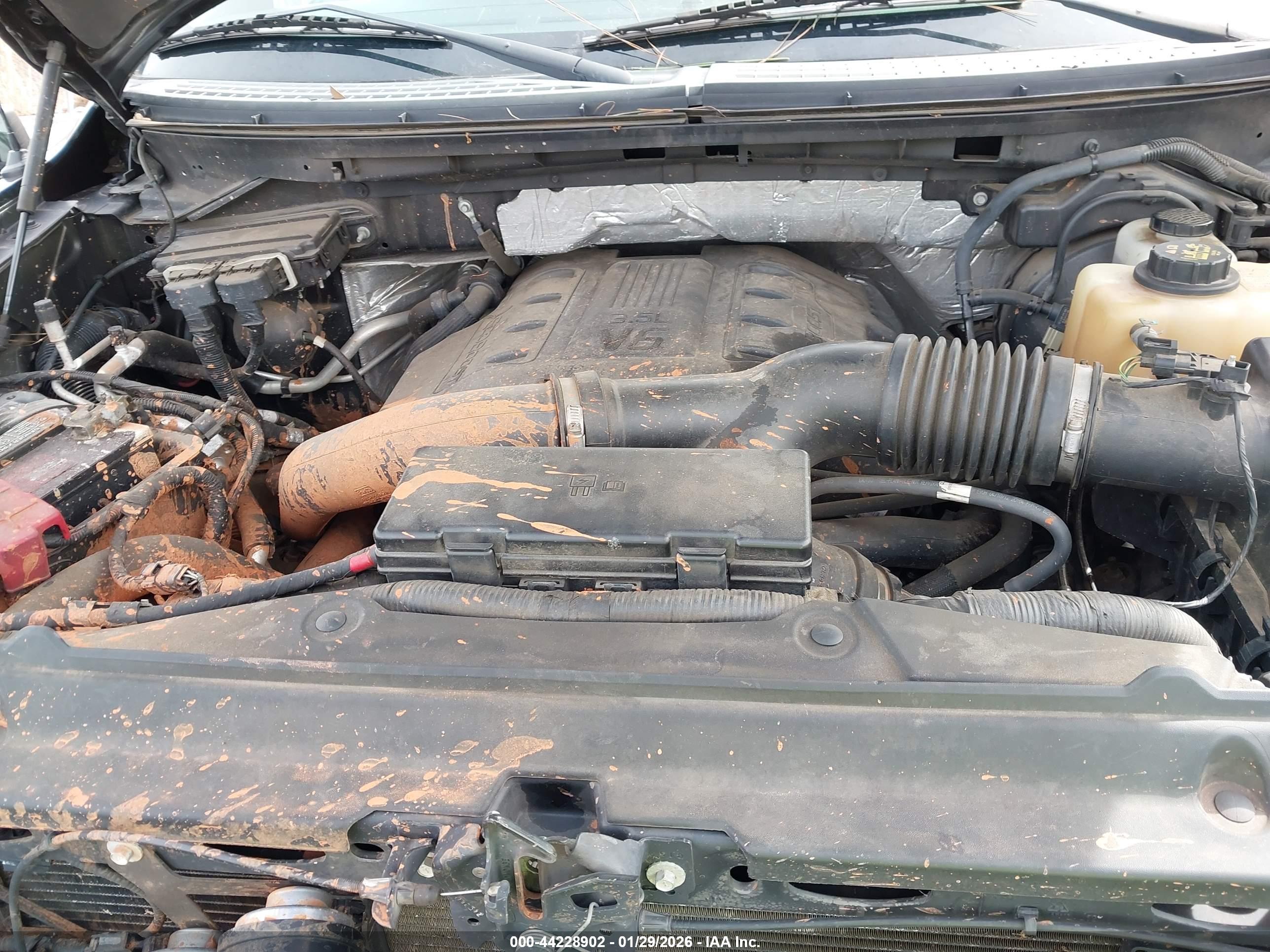 FORD F-150 image 10
