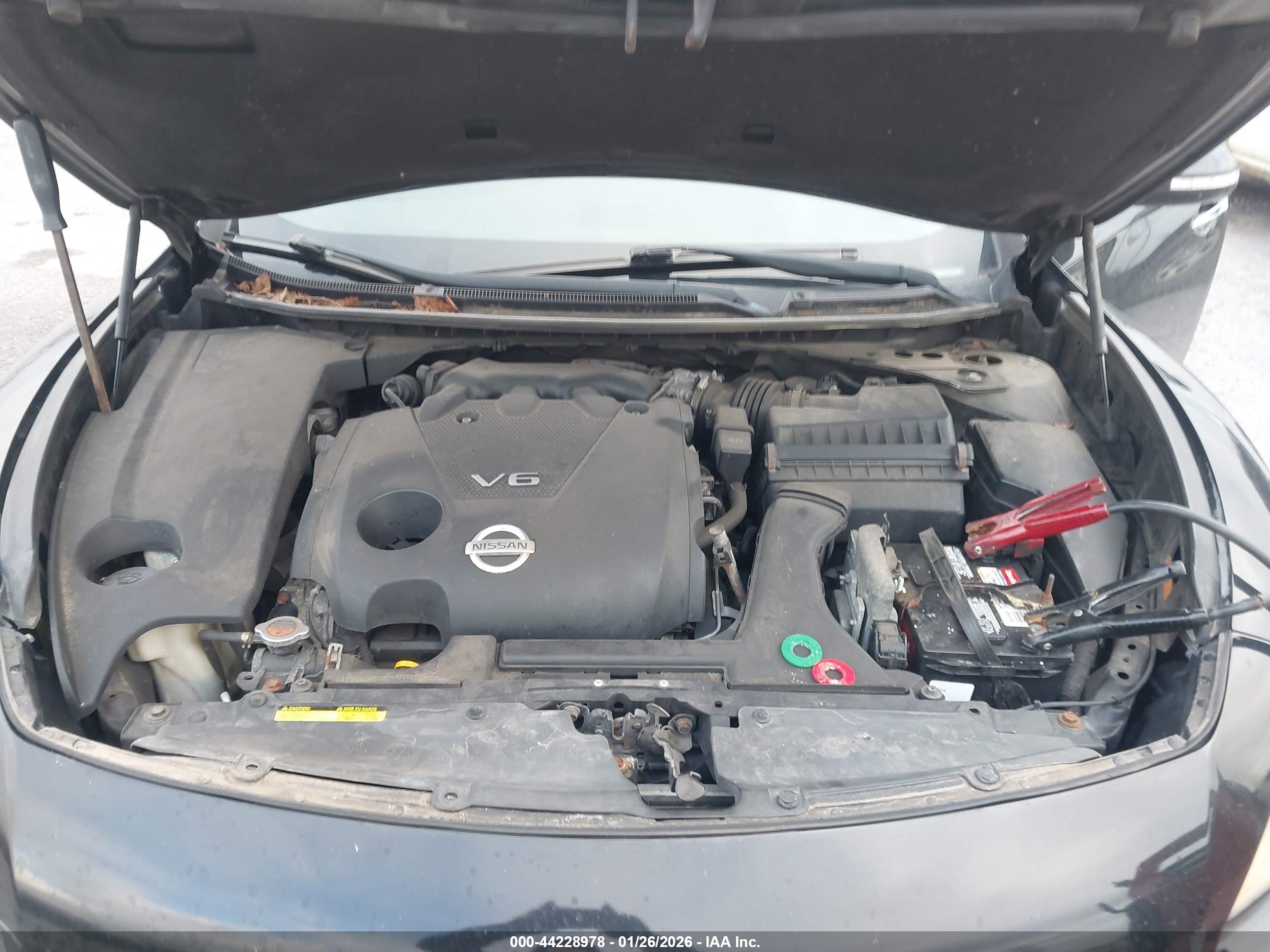 NISSAN MAXIMA image 10