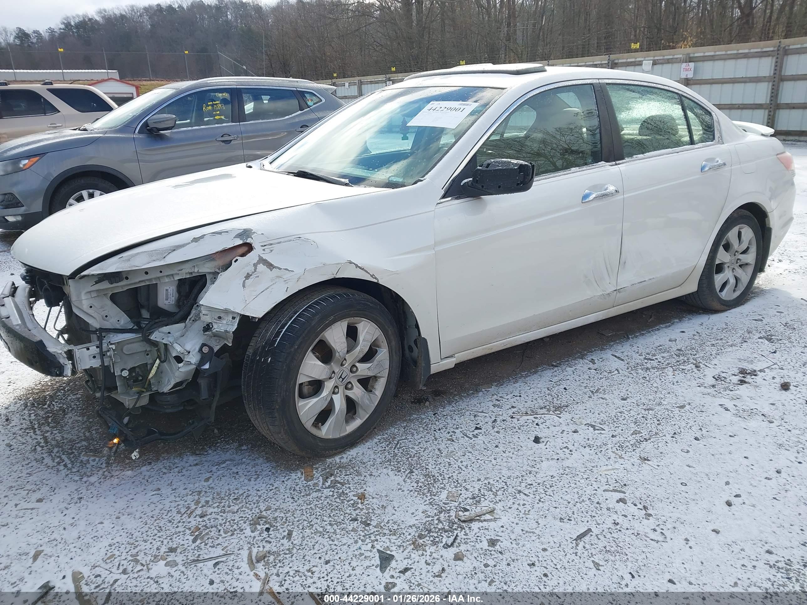 HONDA ACCORD image 2