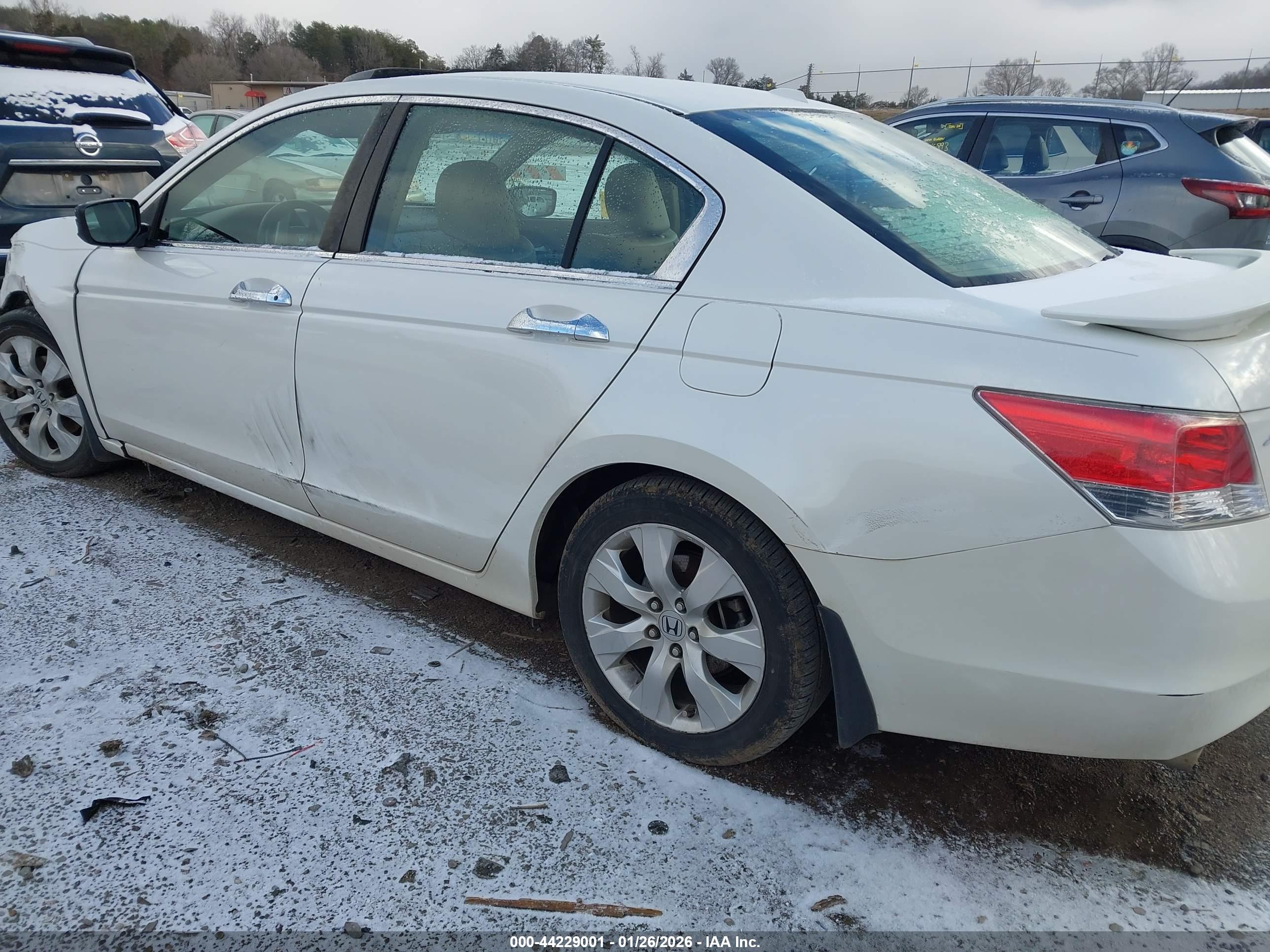 HONDA ACCORD image 3