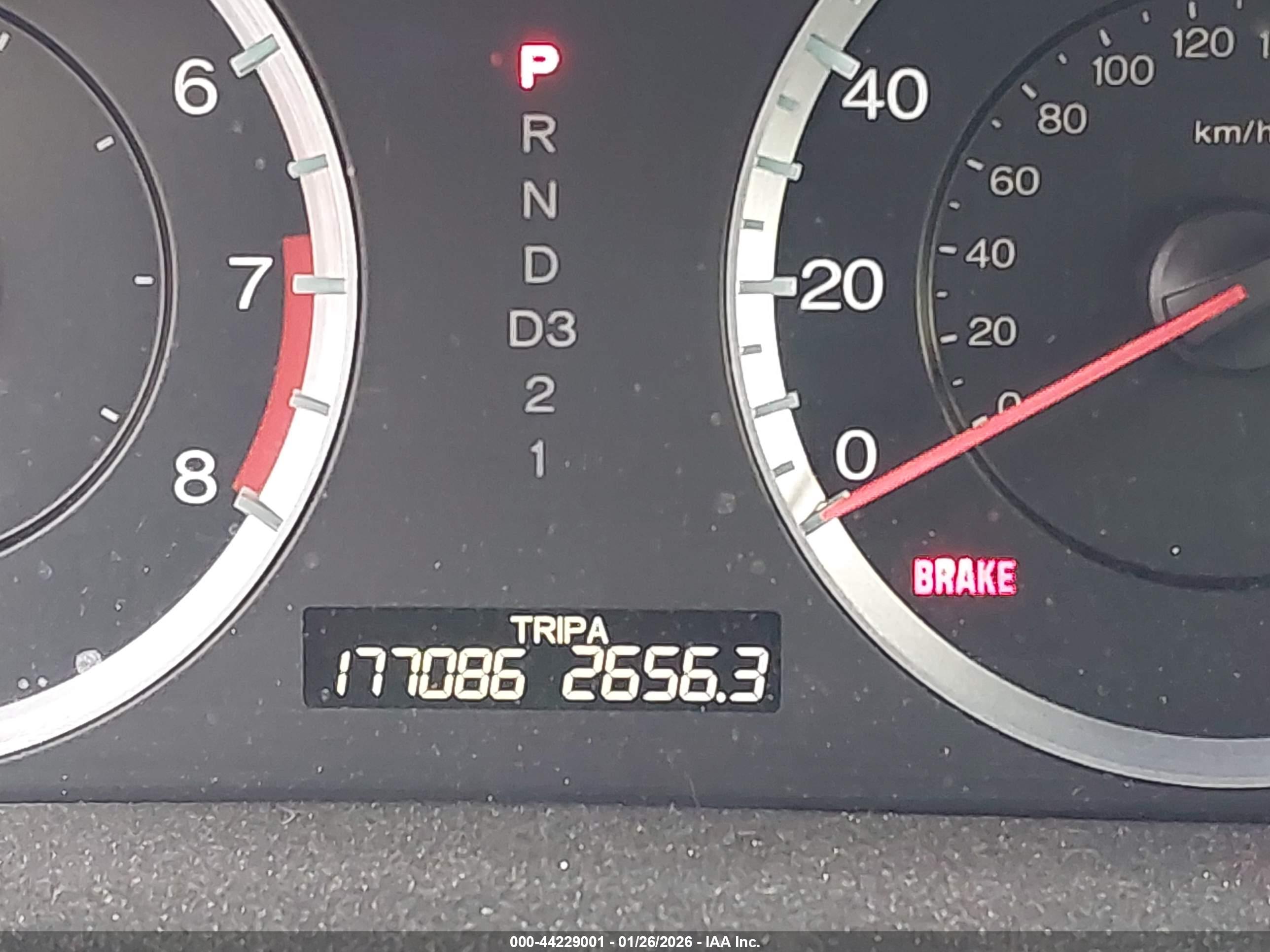HONDA ACCORD image 7