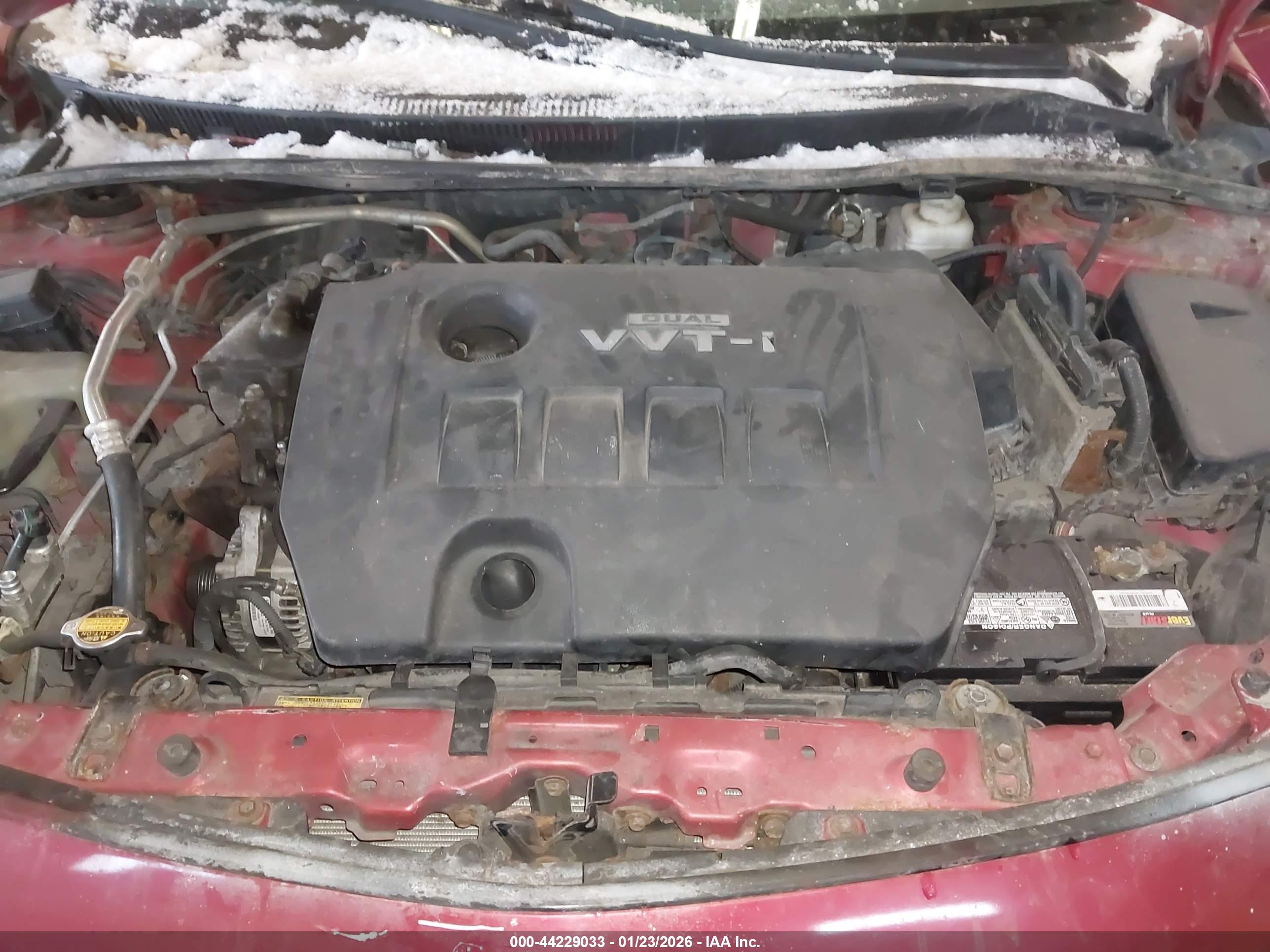 TOYOTA COROLLA image 10