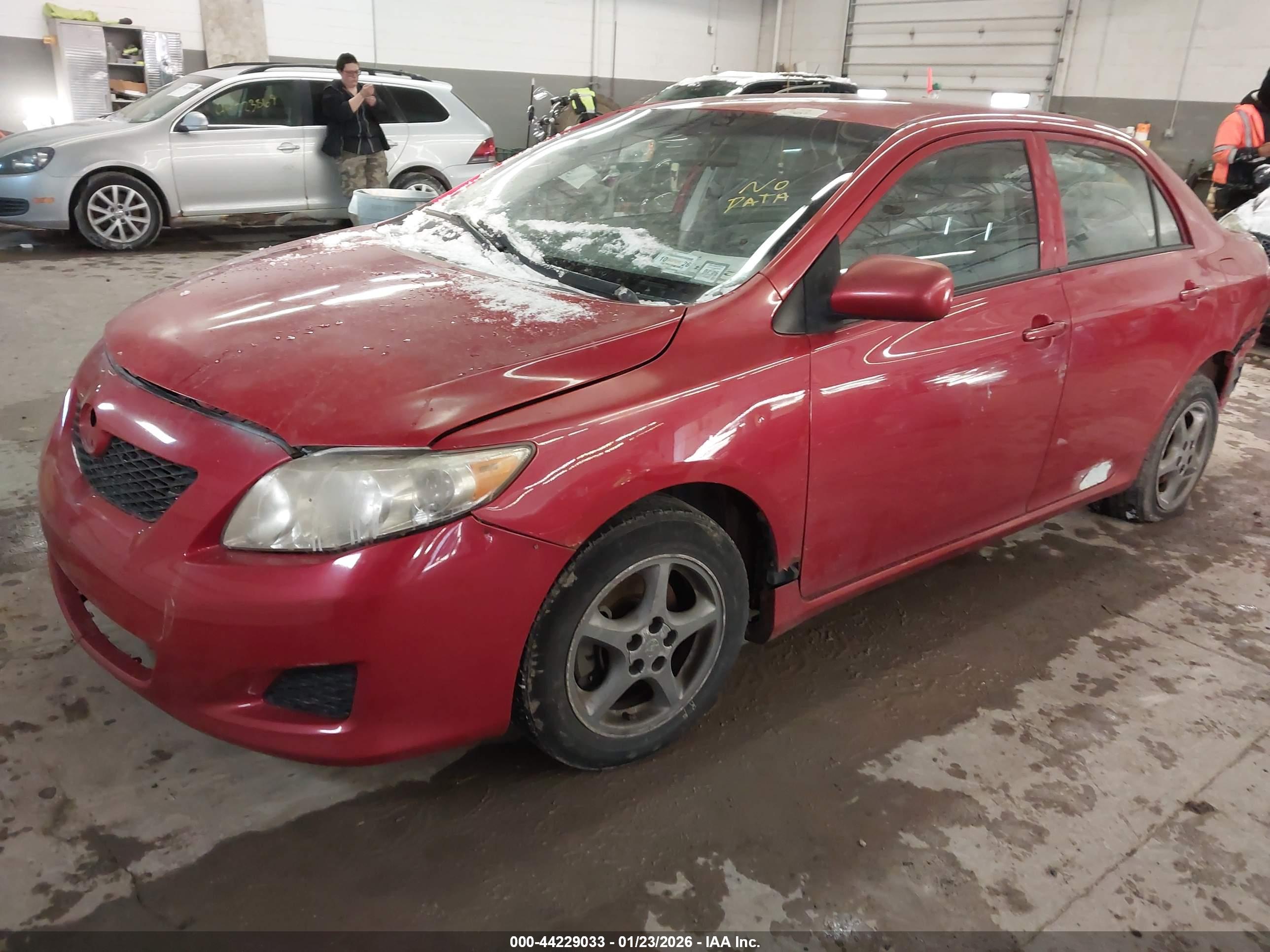 TOYOTA COROLLA image 2