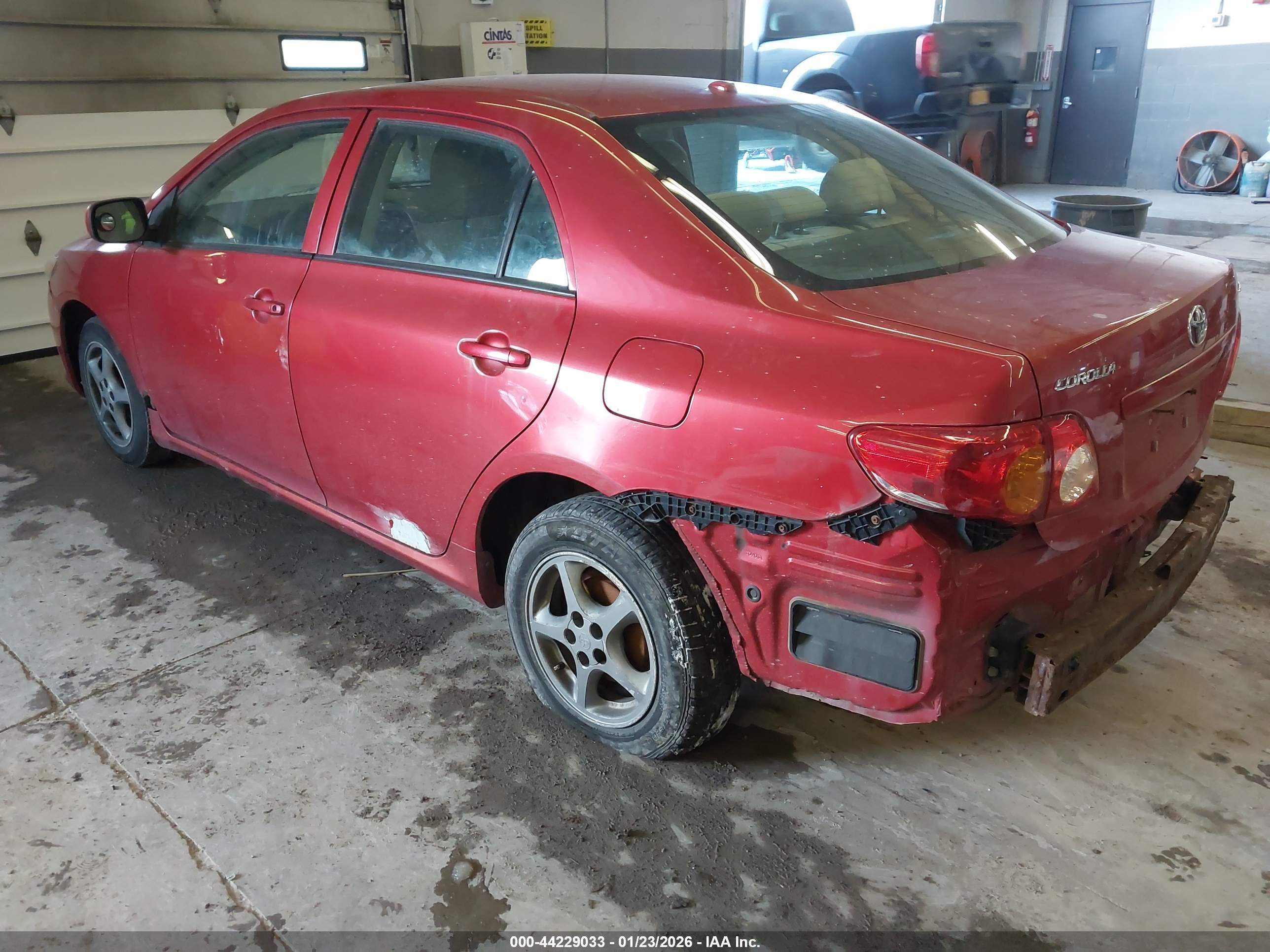 TOYOTA COROLLA image 3