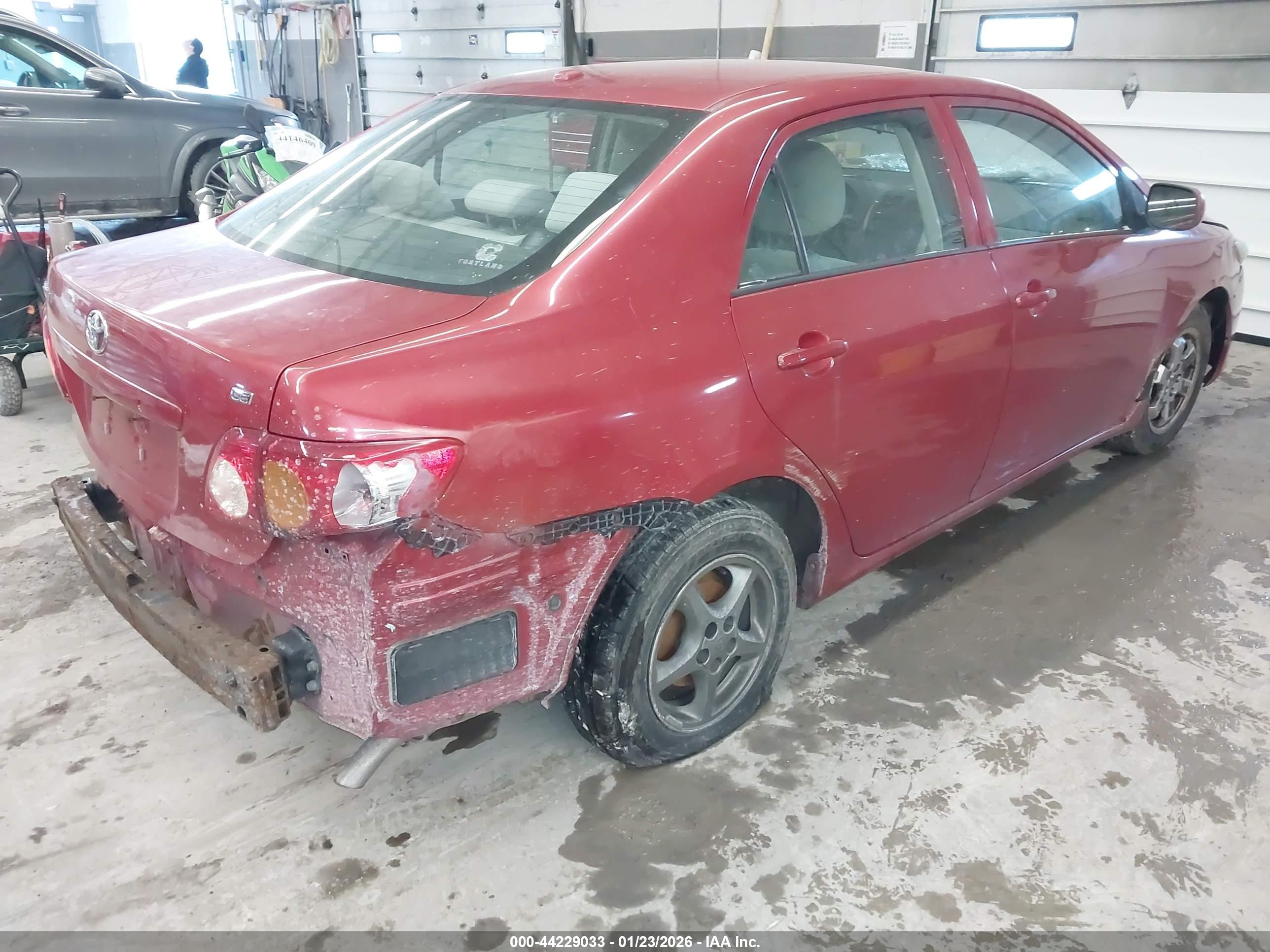 TOYOTA COROLLA image 4